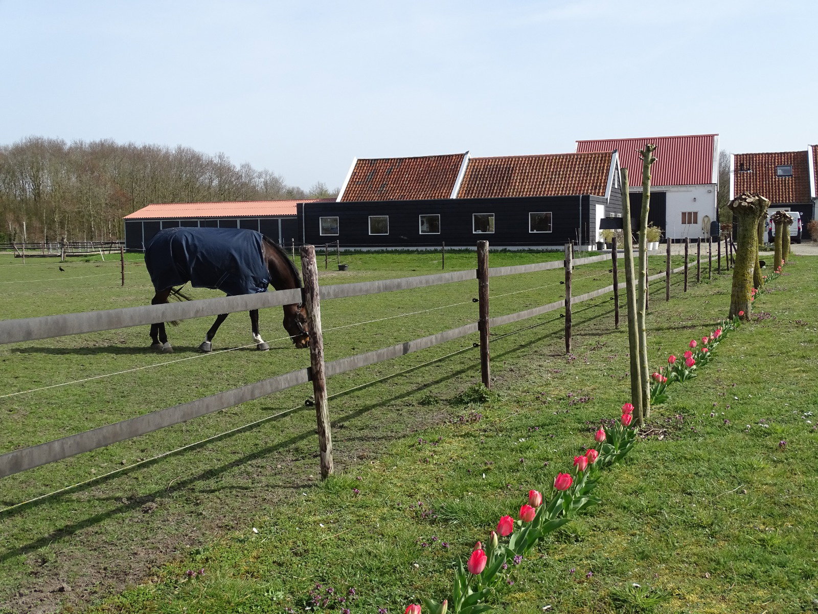 Maison nature à Noordgouwe