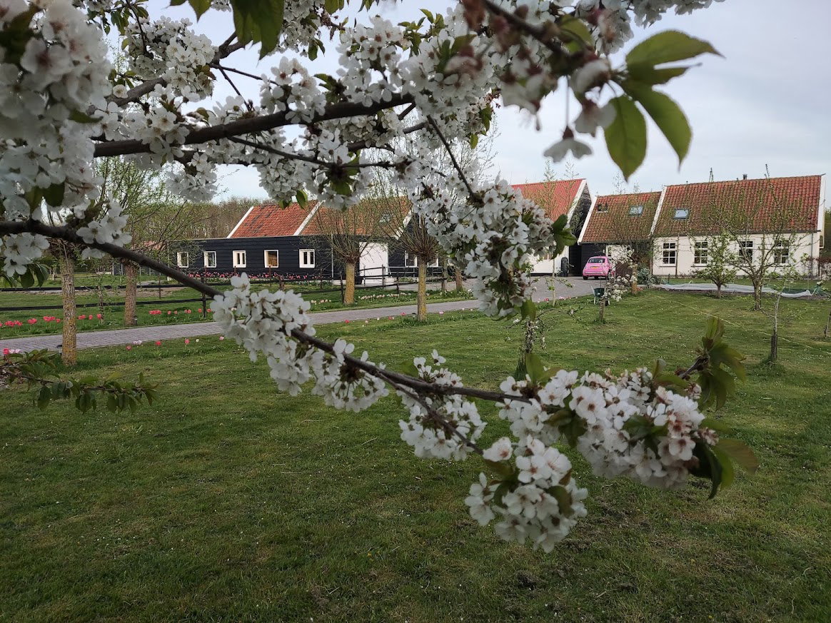 Maison nature à Noordgouwe