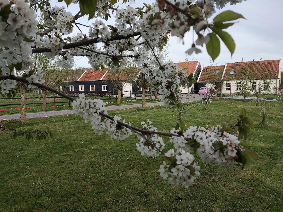 Nature house in Noordgouwe
