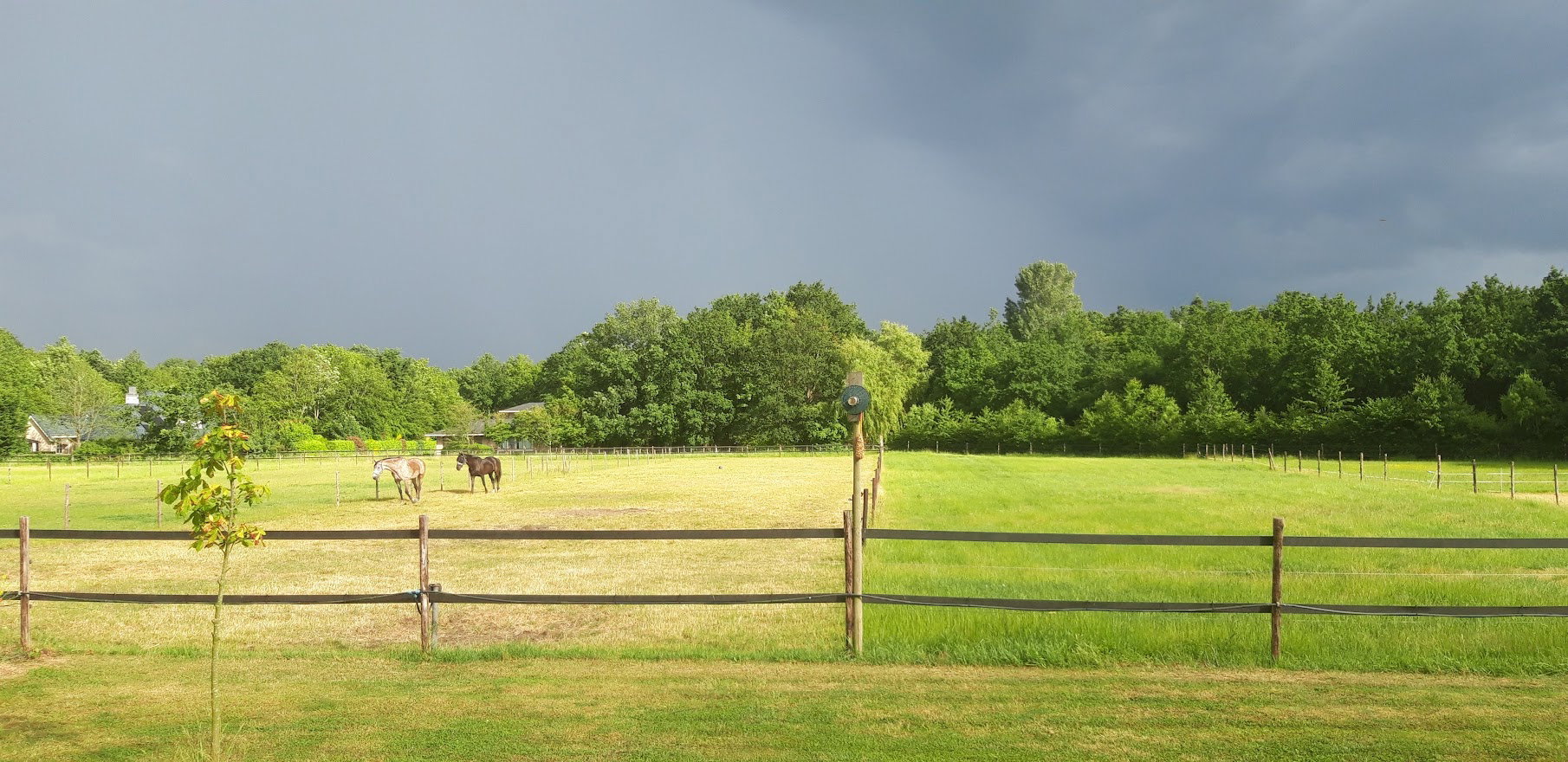 Maison nature à Noordgouwe