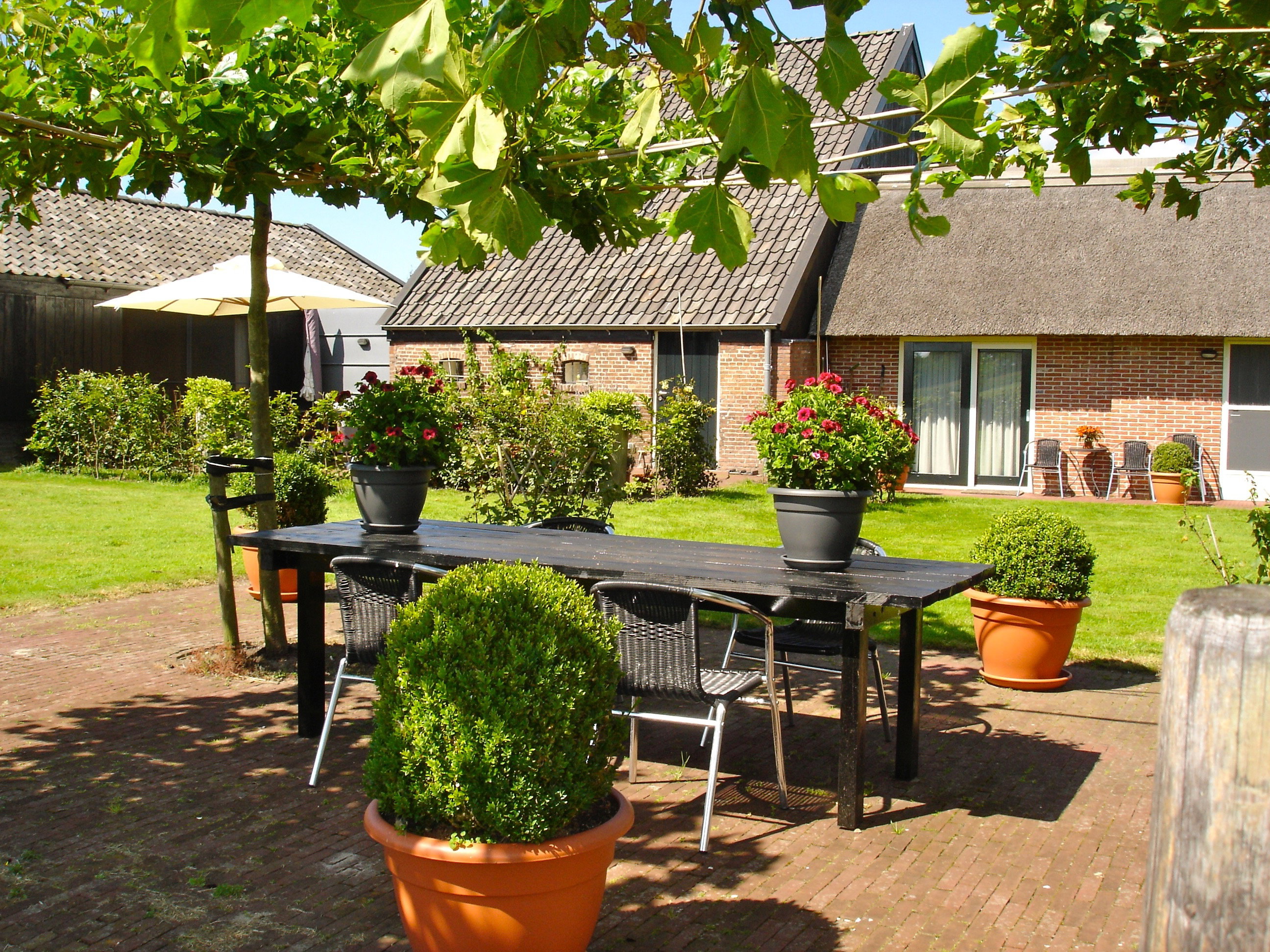 Maison nature à Gytsjerk