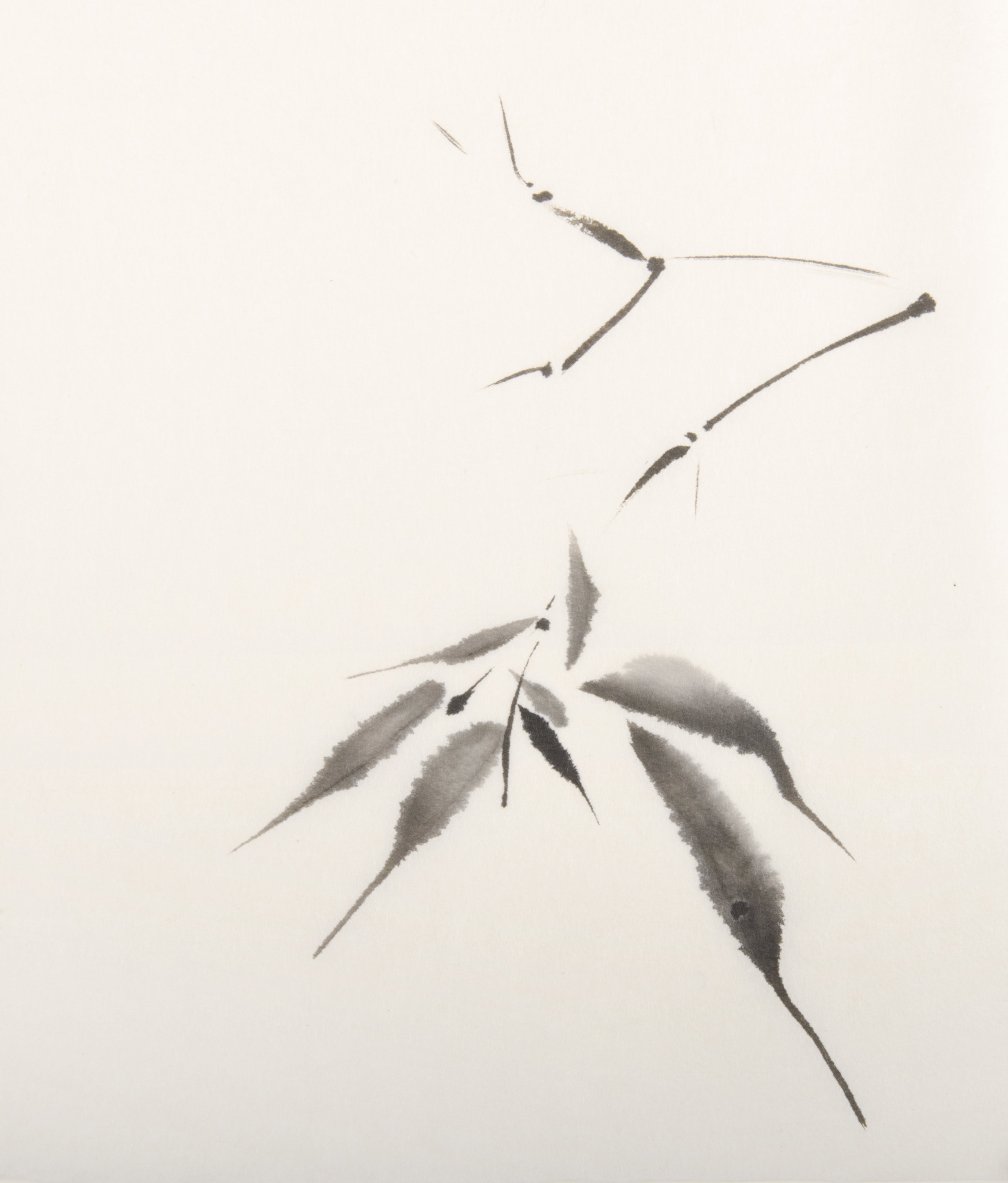 - image: 14