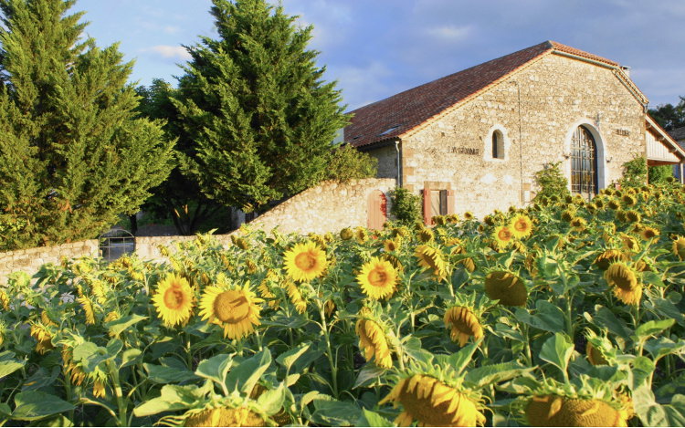 Maison nature à Touffailles