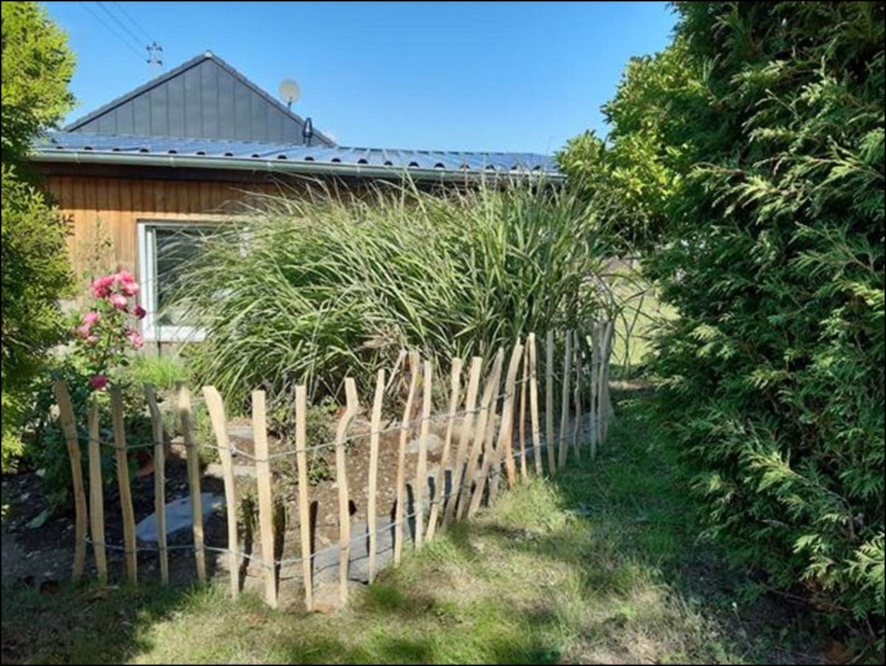 - image: 29