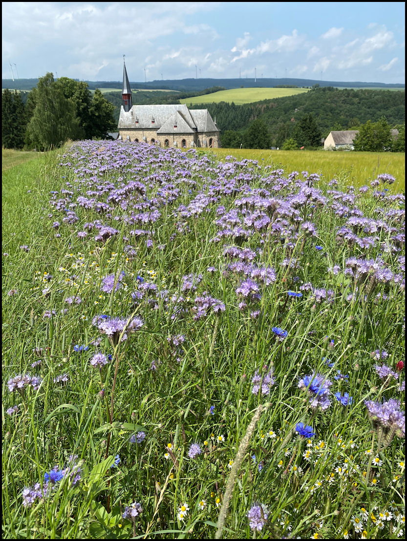 - image: 12