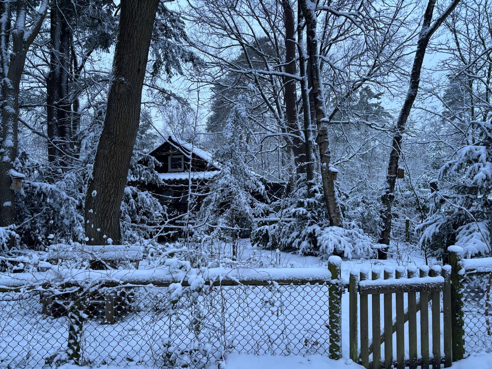 Casa nella natura a Loenen