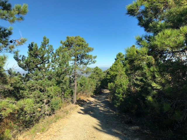 Nature house in PARCO DELLE CAPANNE DI MARCAROLO-CASALEGGIO BOIRO