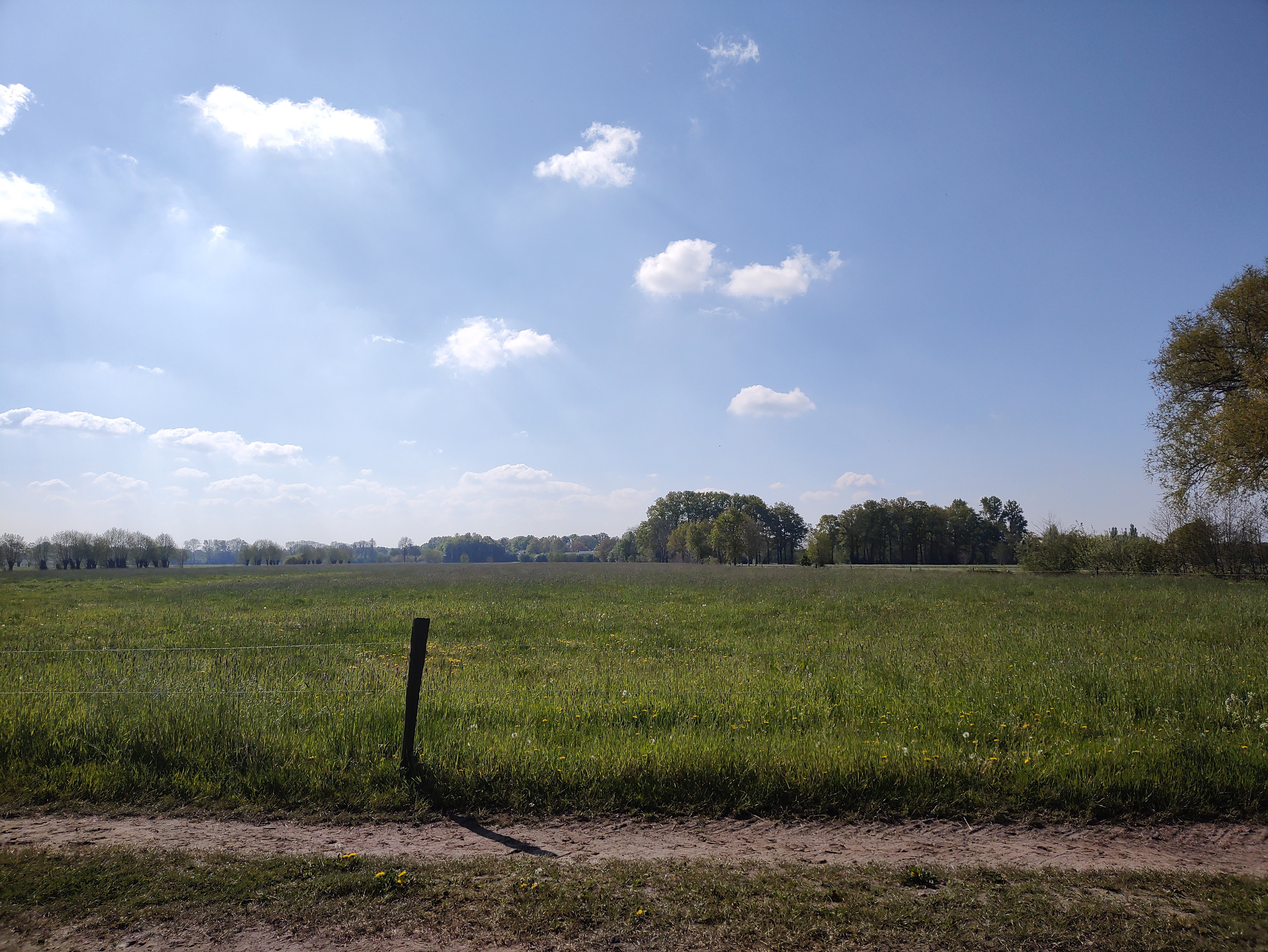 Casa nella natura a Zwartebroek