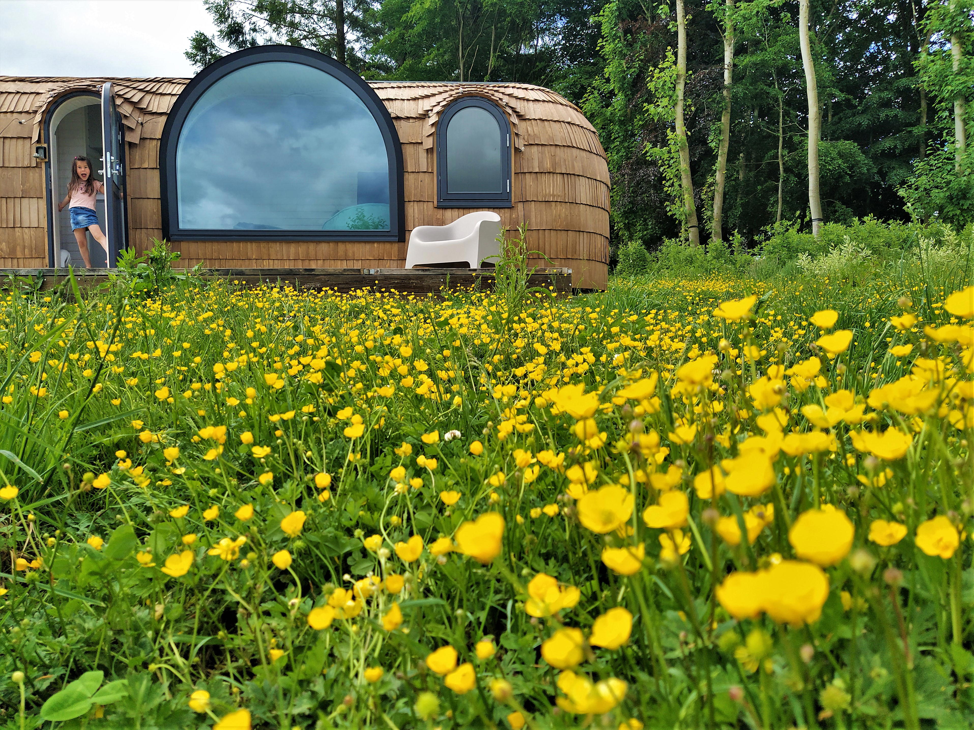 Nature house in Vaux-sur-Sûre