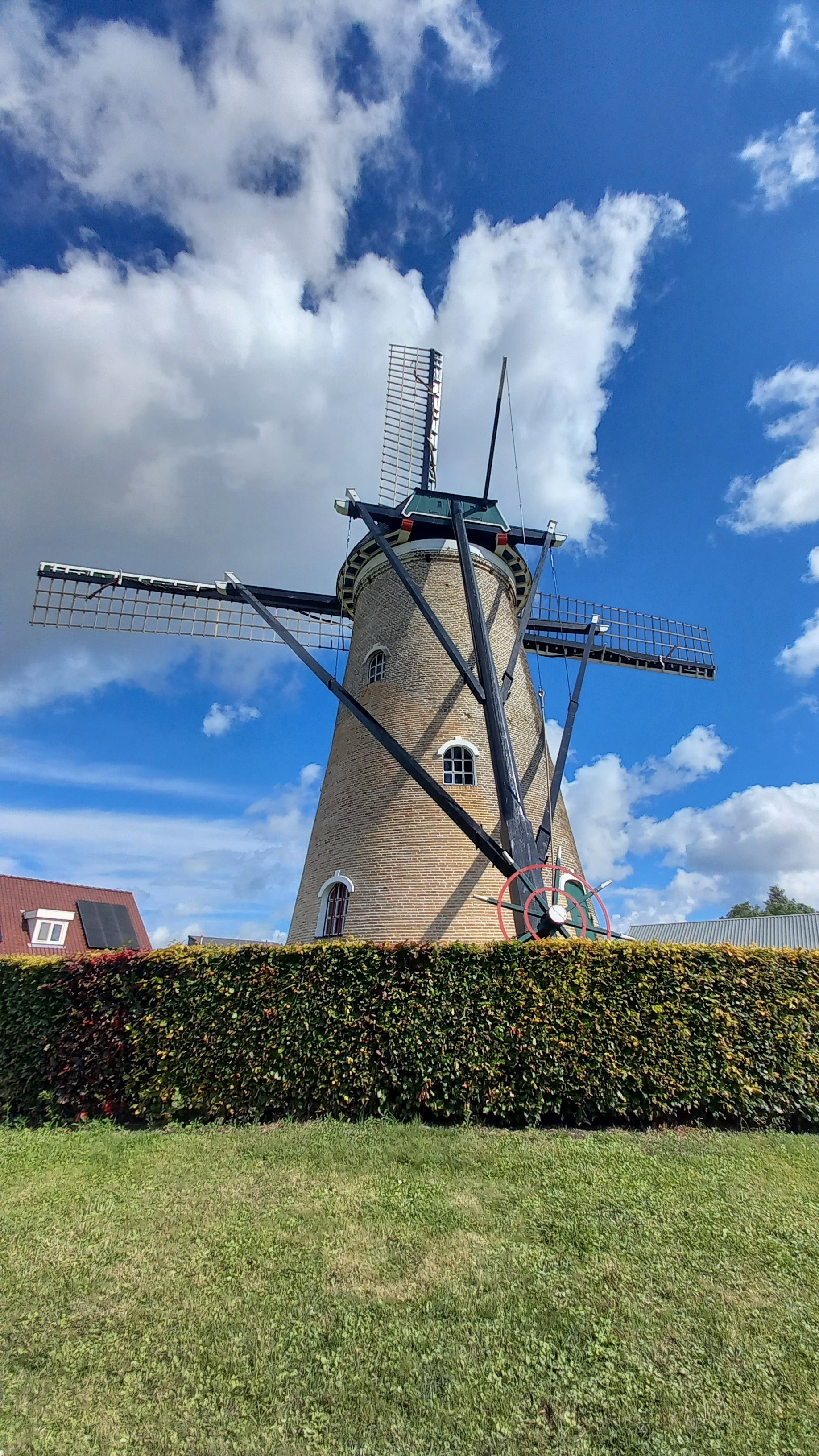 - image: 18