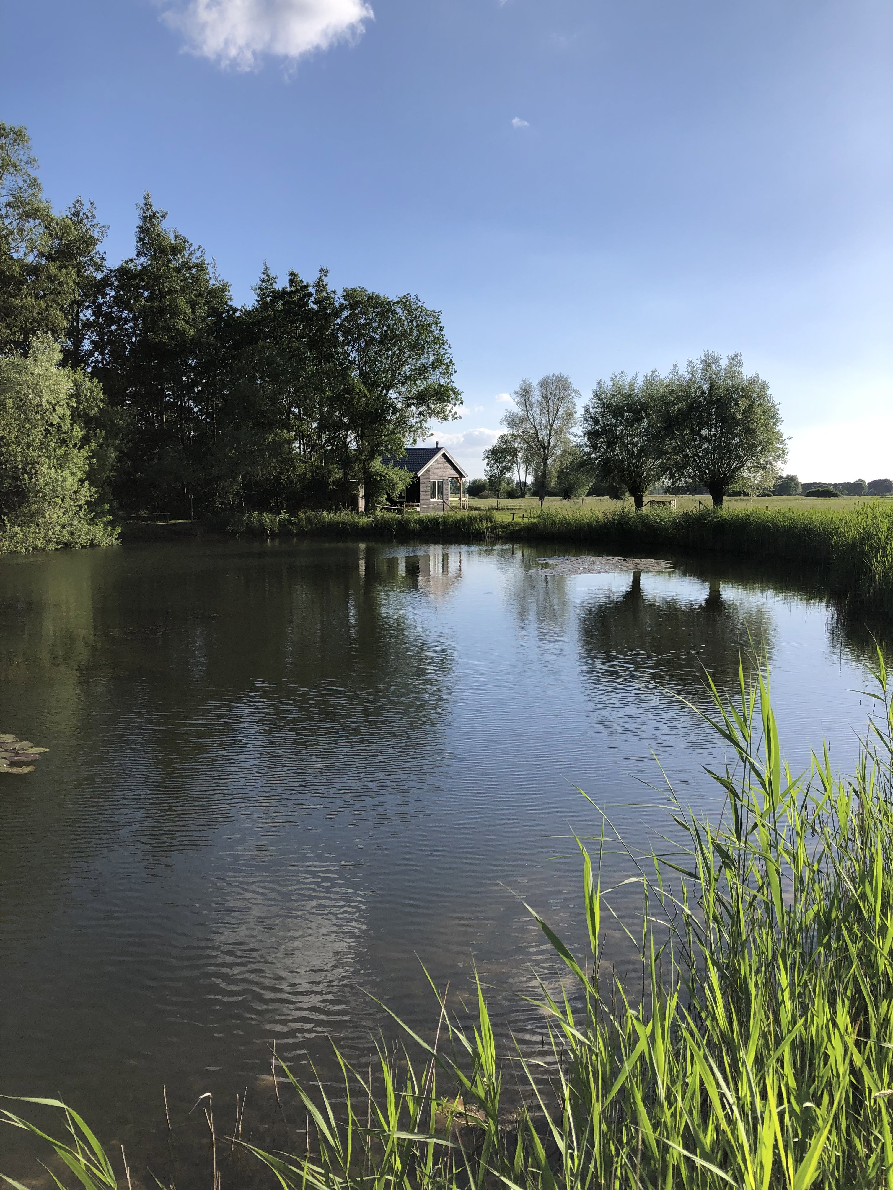 Maison nature à Nijbroek