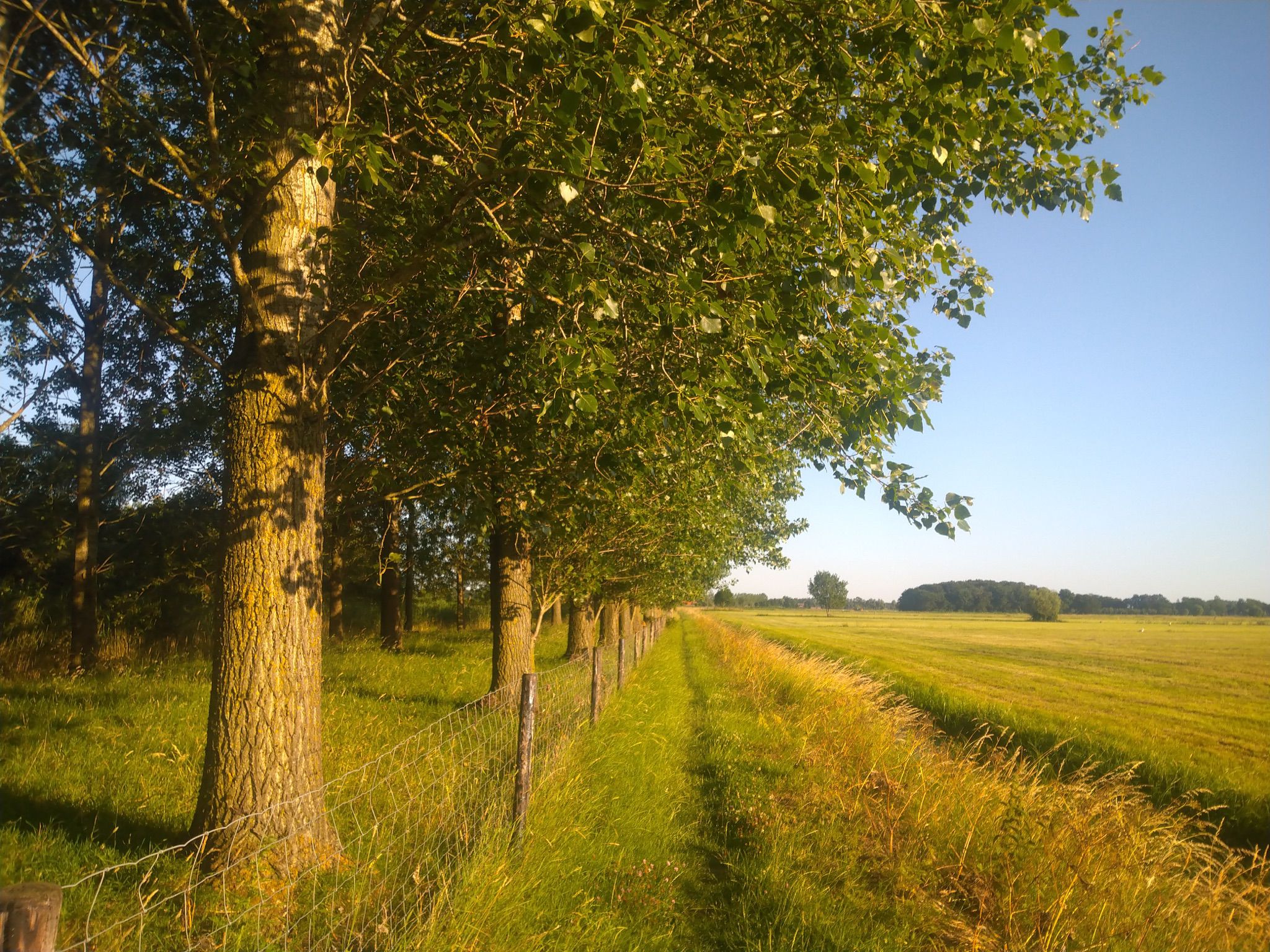 Casa nella natura a Nijbroek