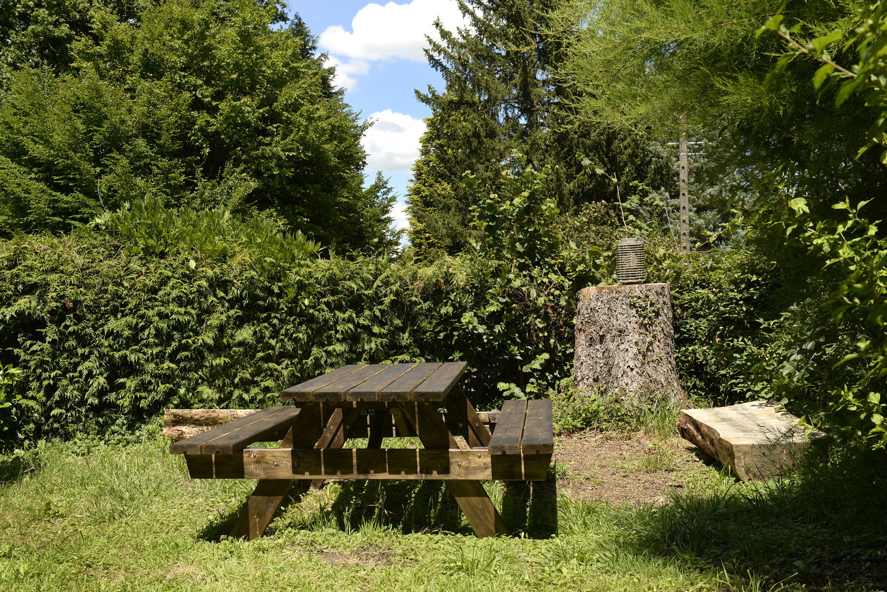 - image: 11