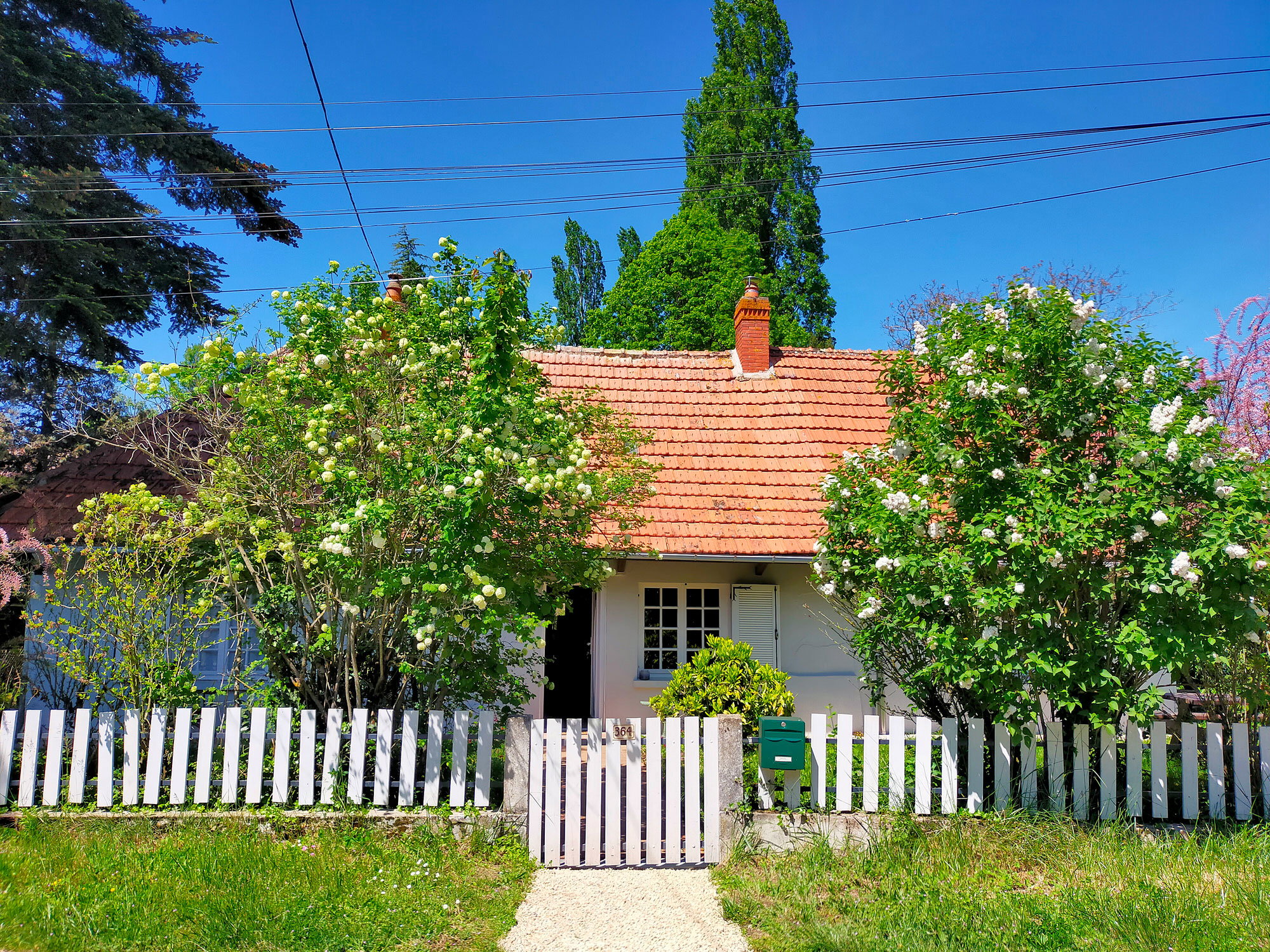 Maison nature à Saint-Vincent-en-Bresse