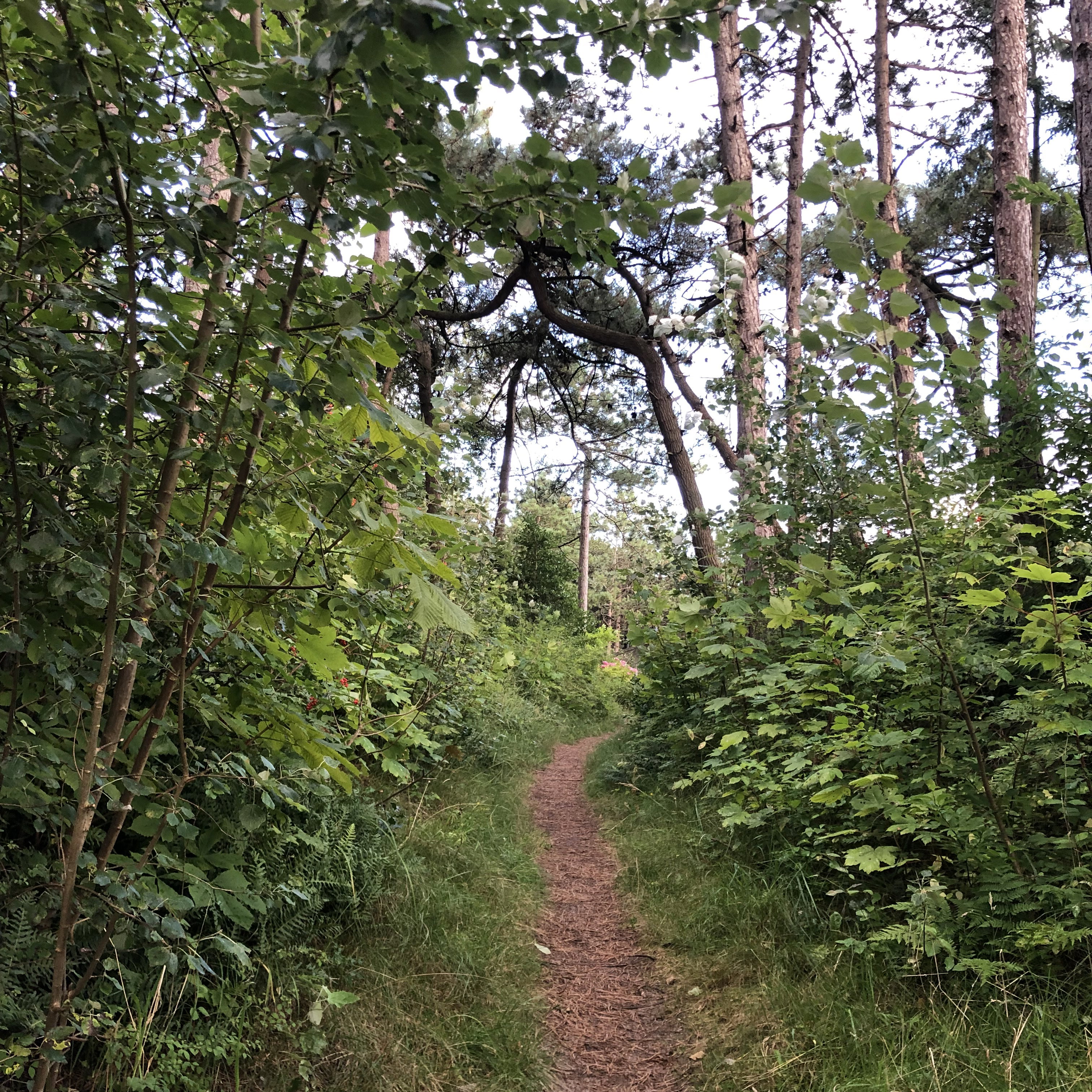 Naturhäuschen in Terschelling