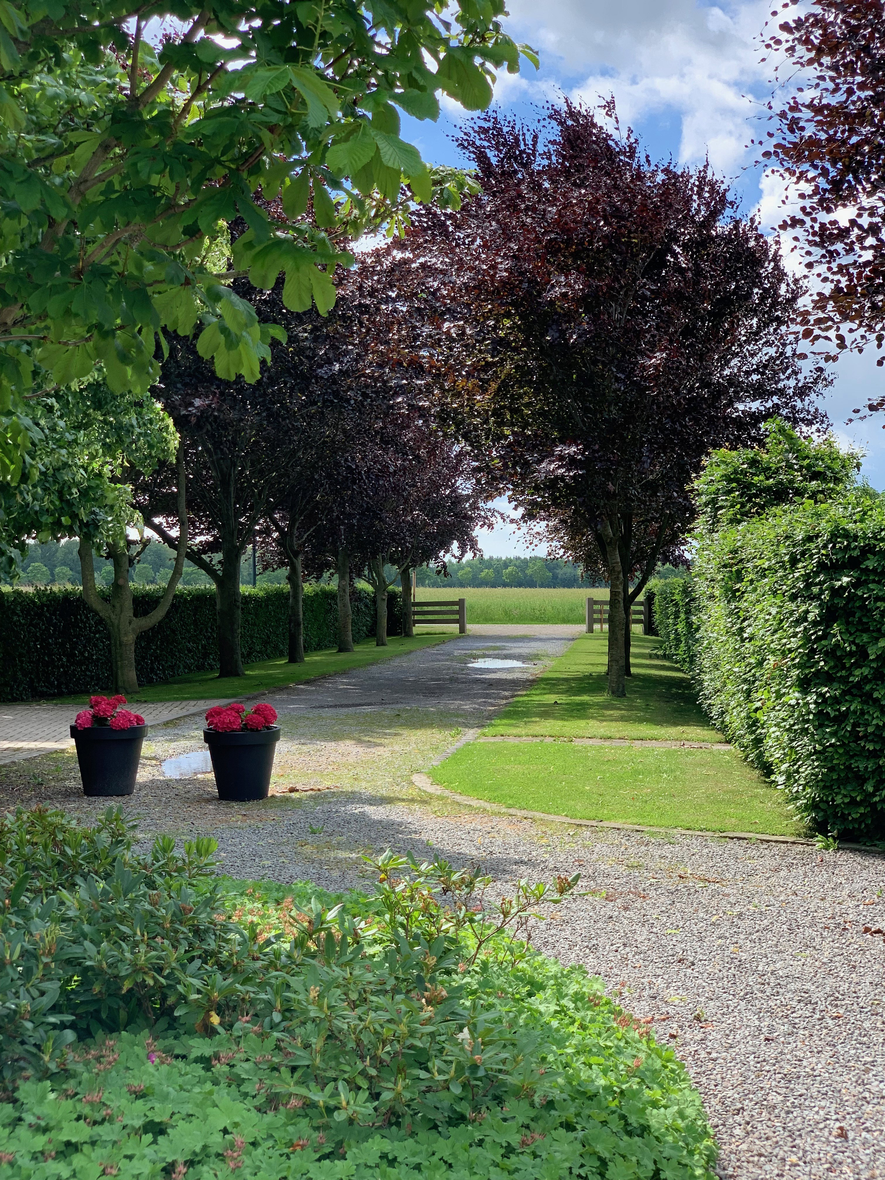 - image: 42
