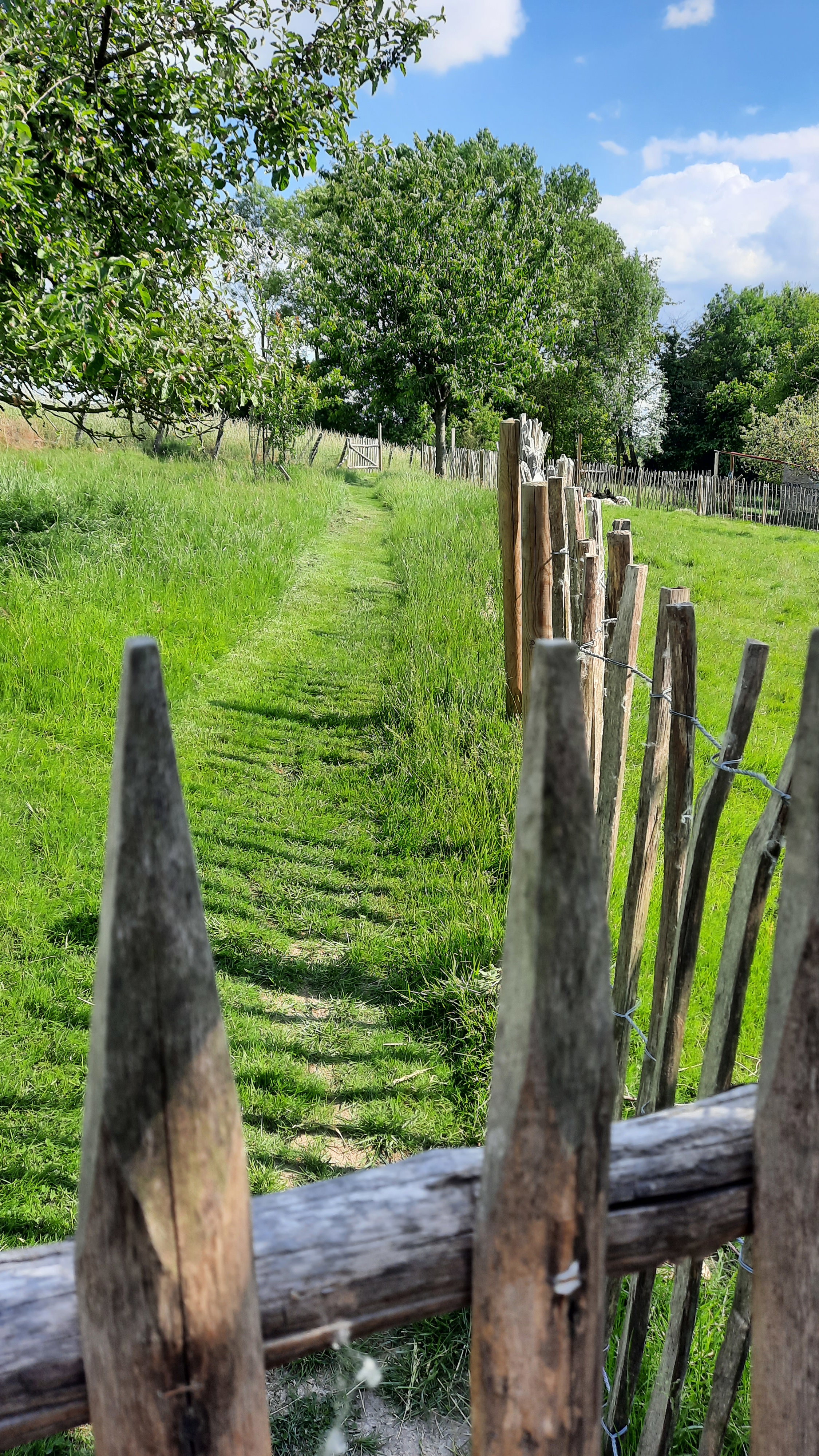 Naturhäuschen in Sint-Antelinks