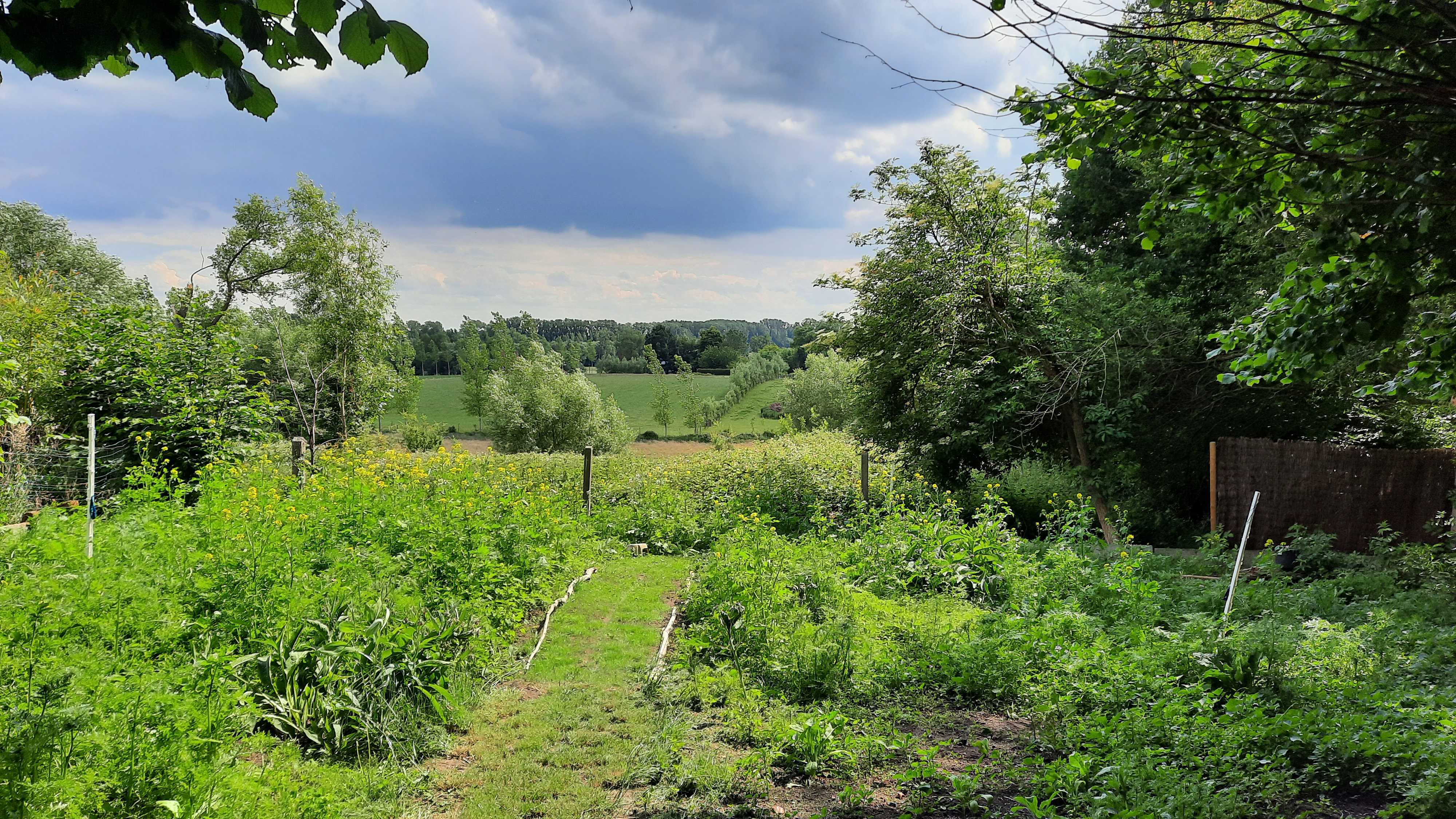 Naturhäuschen in Sint-Antelinks
