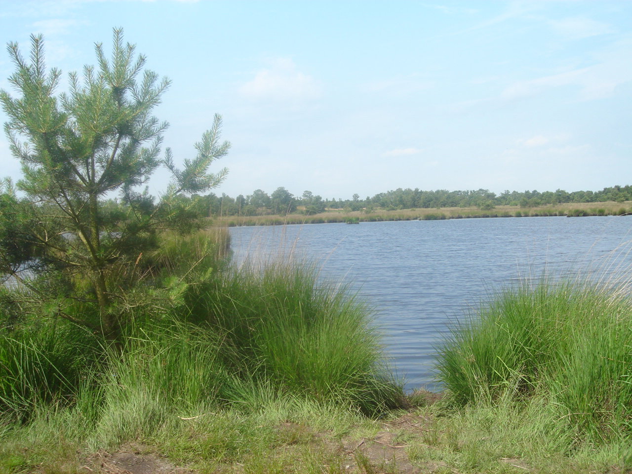- image: 28