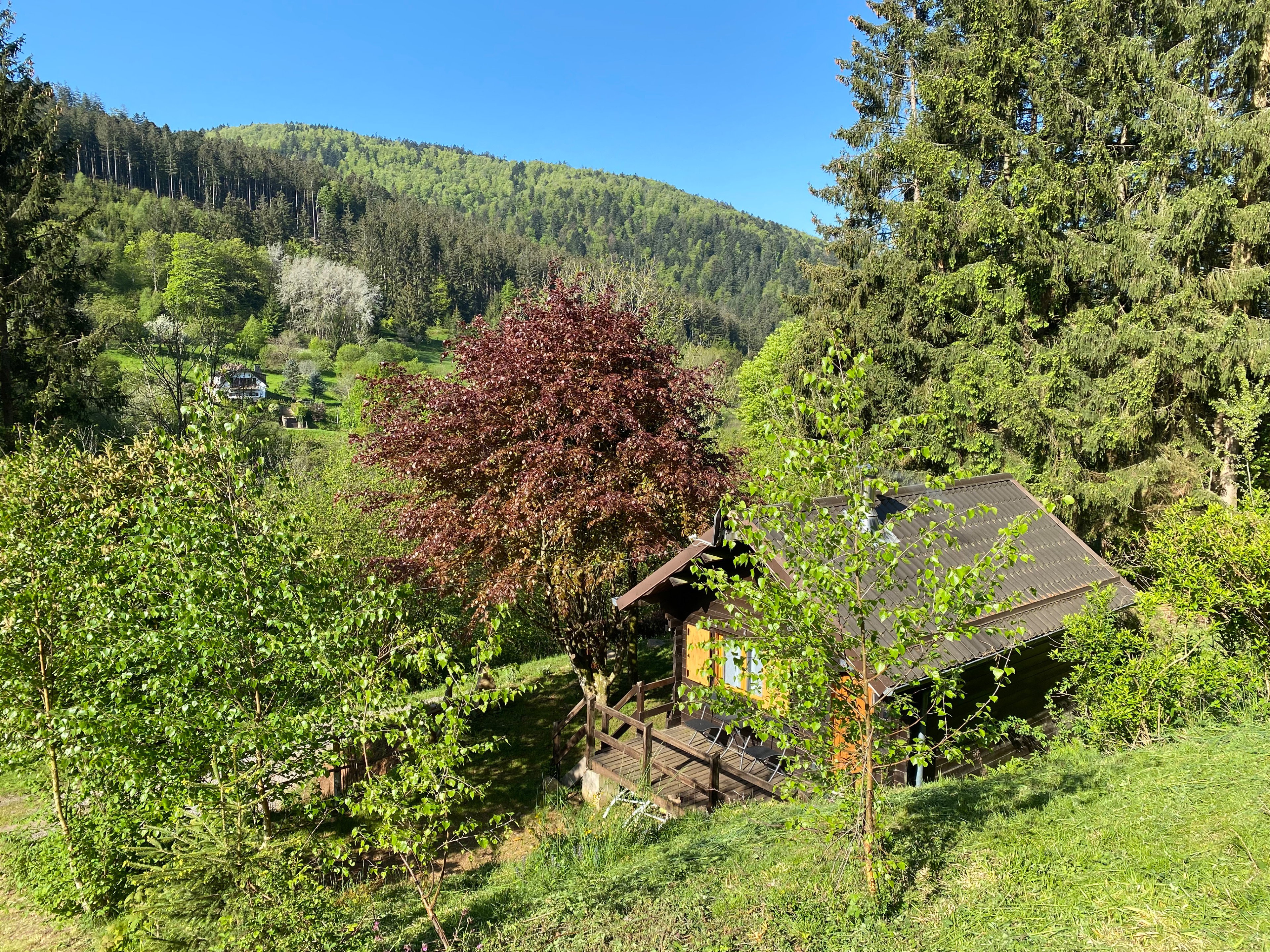 Natuurhuisje in Natzwiller
