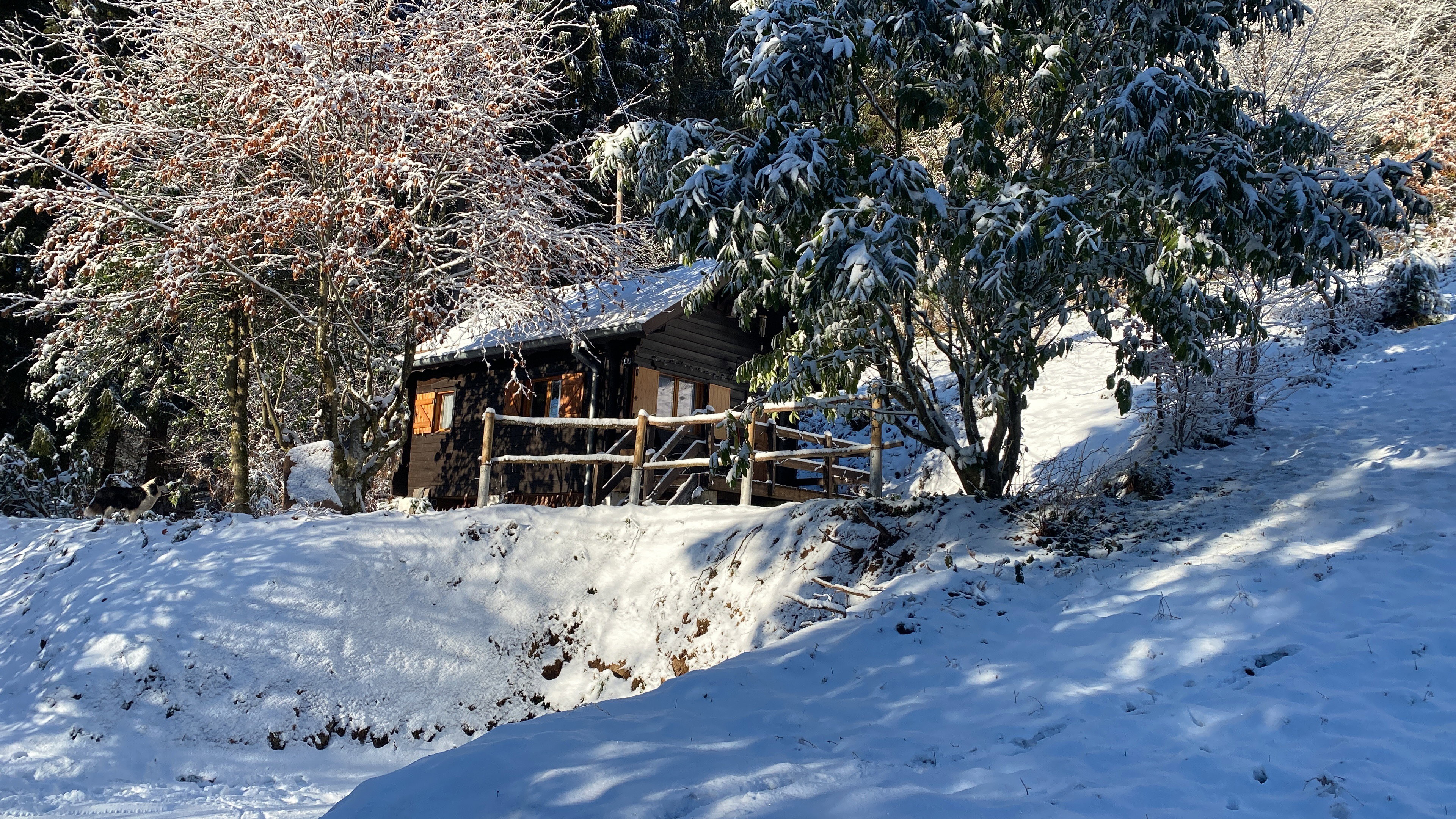 Natuurhuisje in Natzwiller