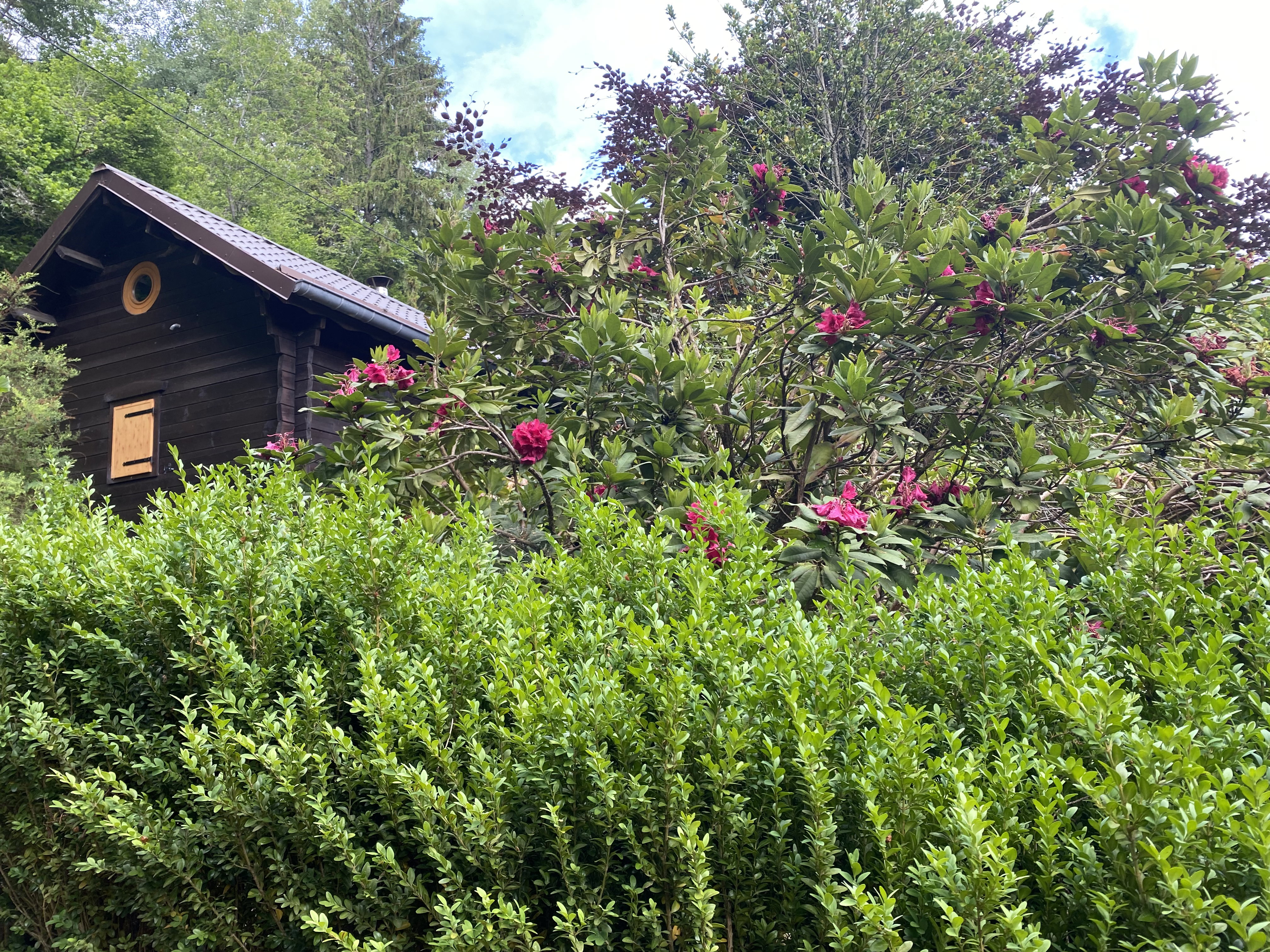 Natuurhuisje in Natzwiller