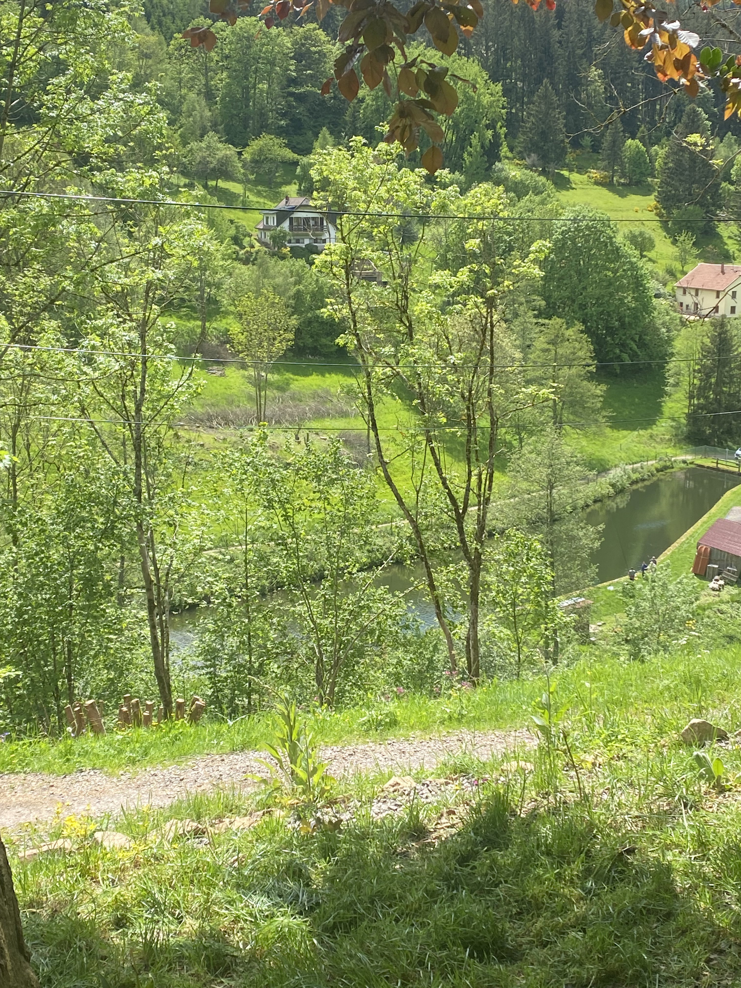 - image: 28