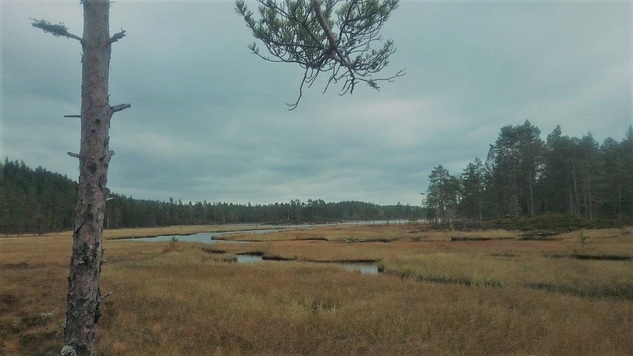 Casa nella natura a Kirkenær