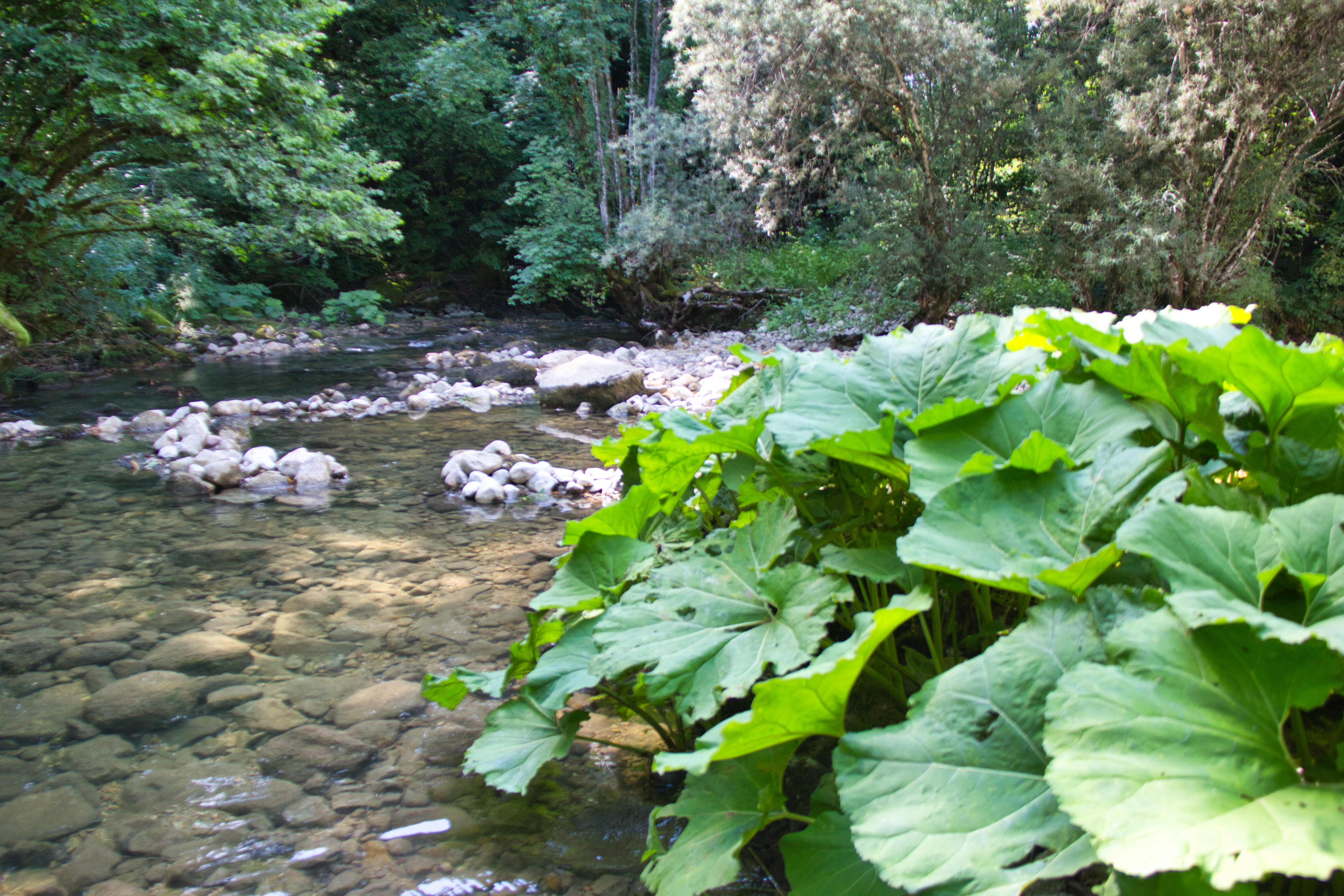 - image: 13