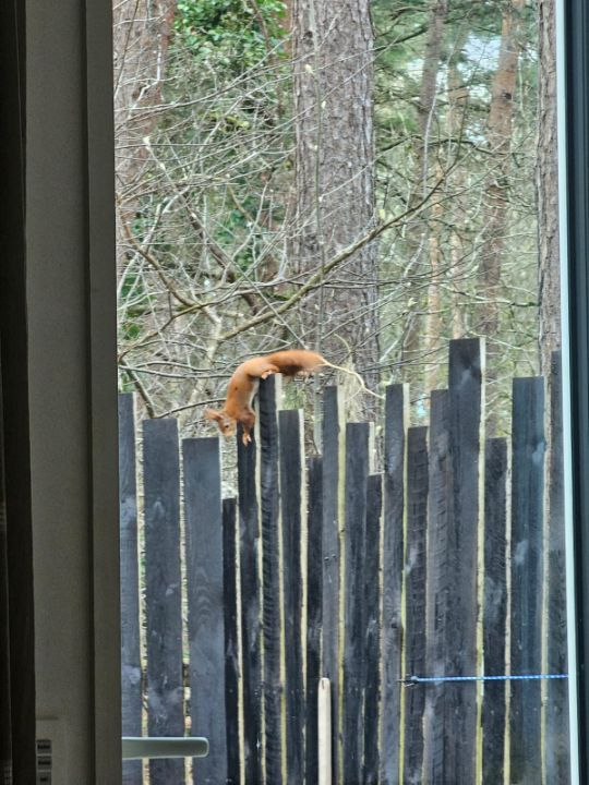 Naturhäuschen in Lille