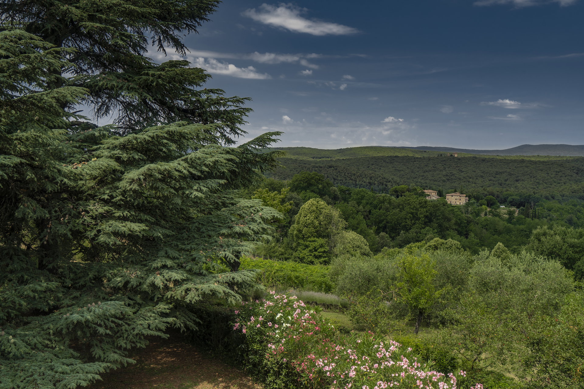 Natuurhuisje in Siena