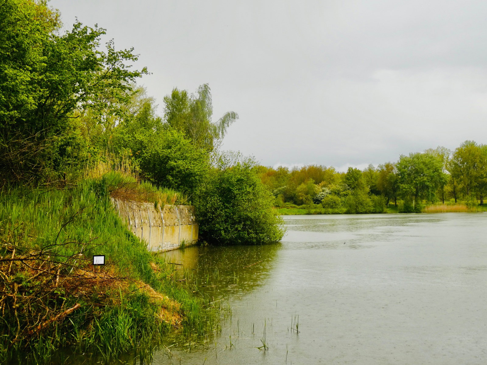 - image: 27