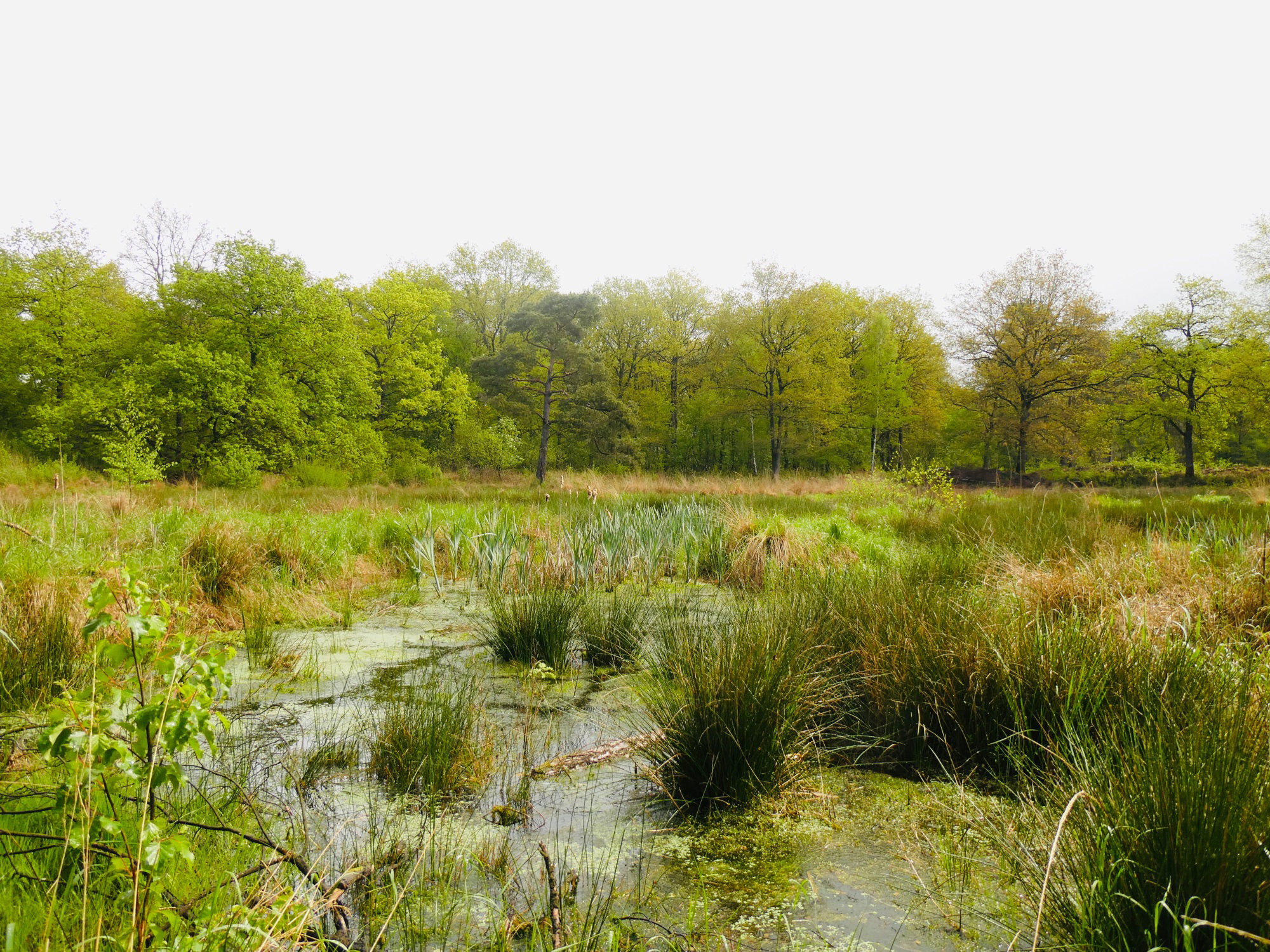 - image: 23