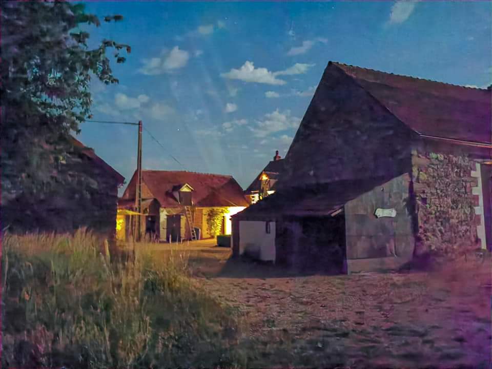 - image: 24