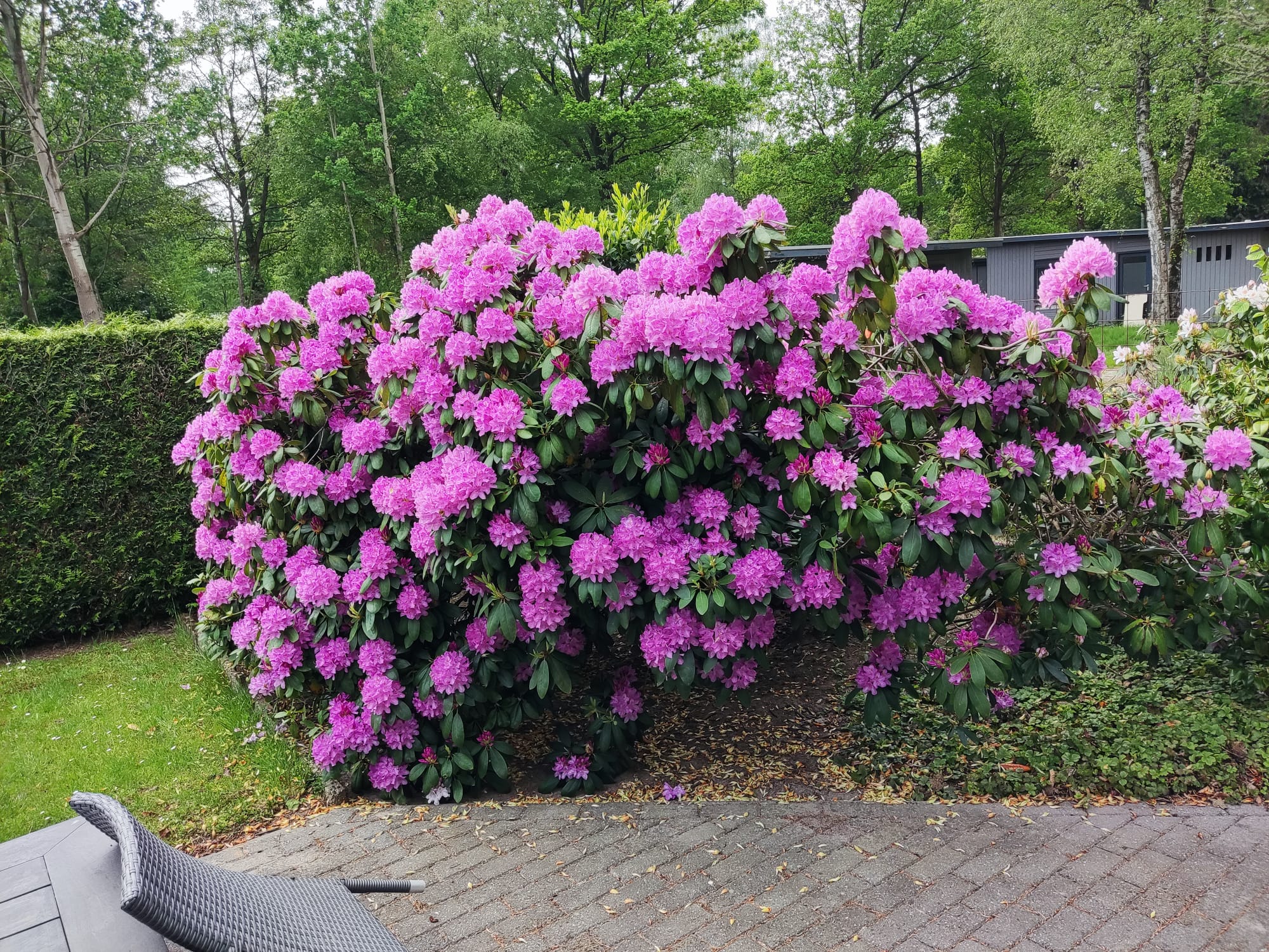 Natuurhuisje in Lage Mierde