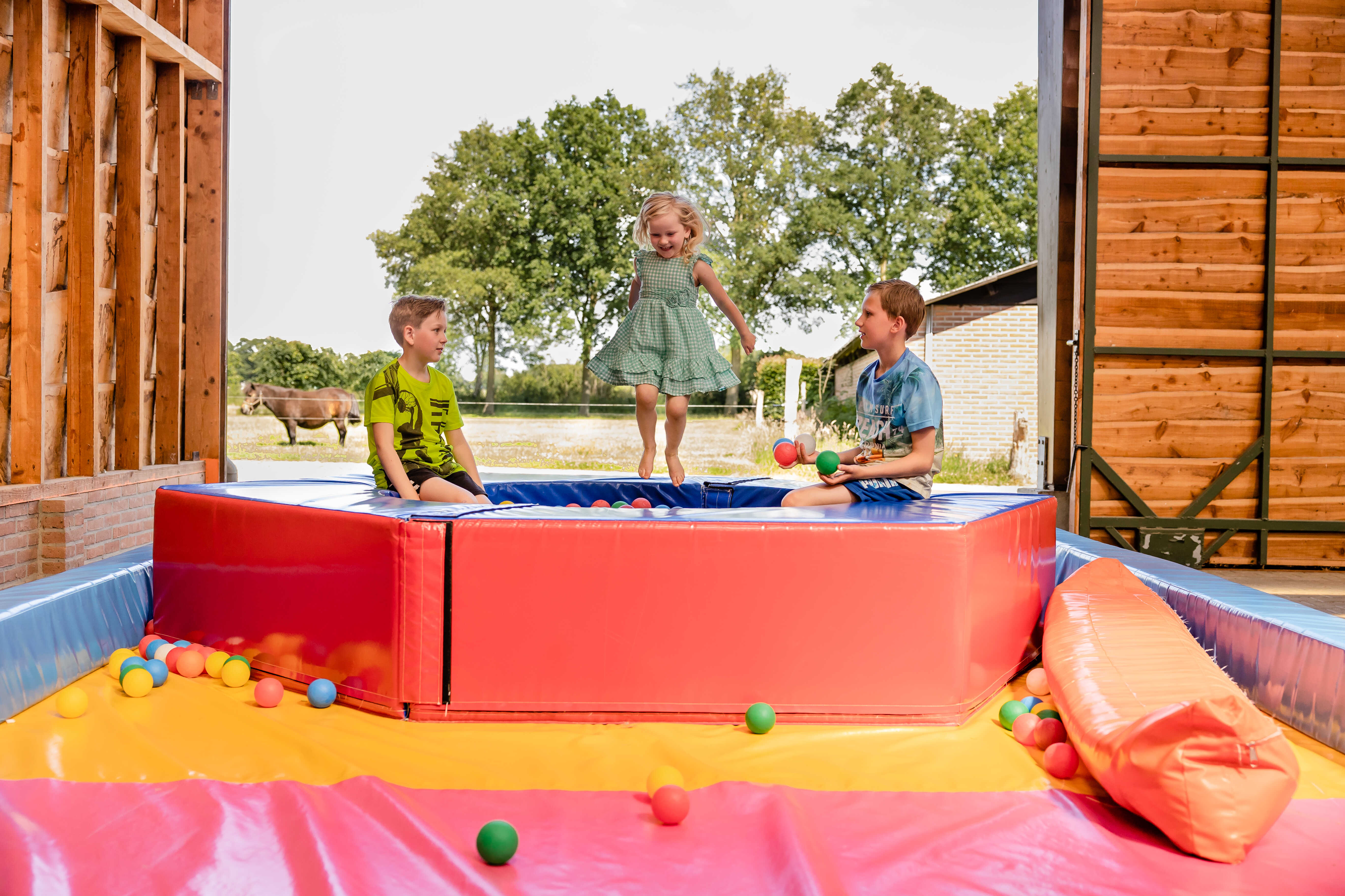 - image: 12