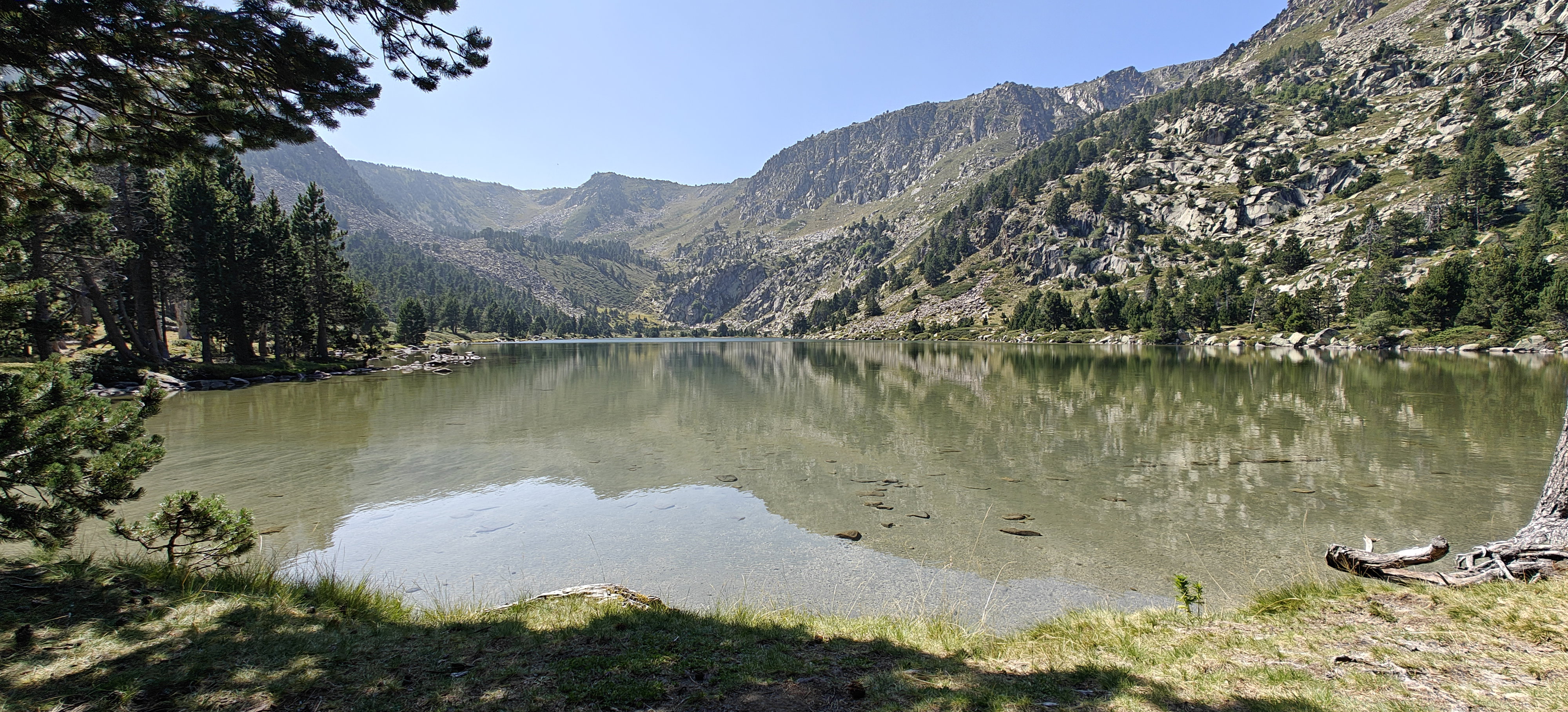 - image: 48