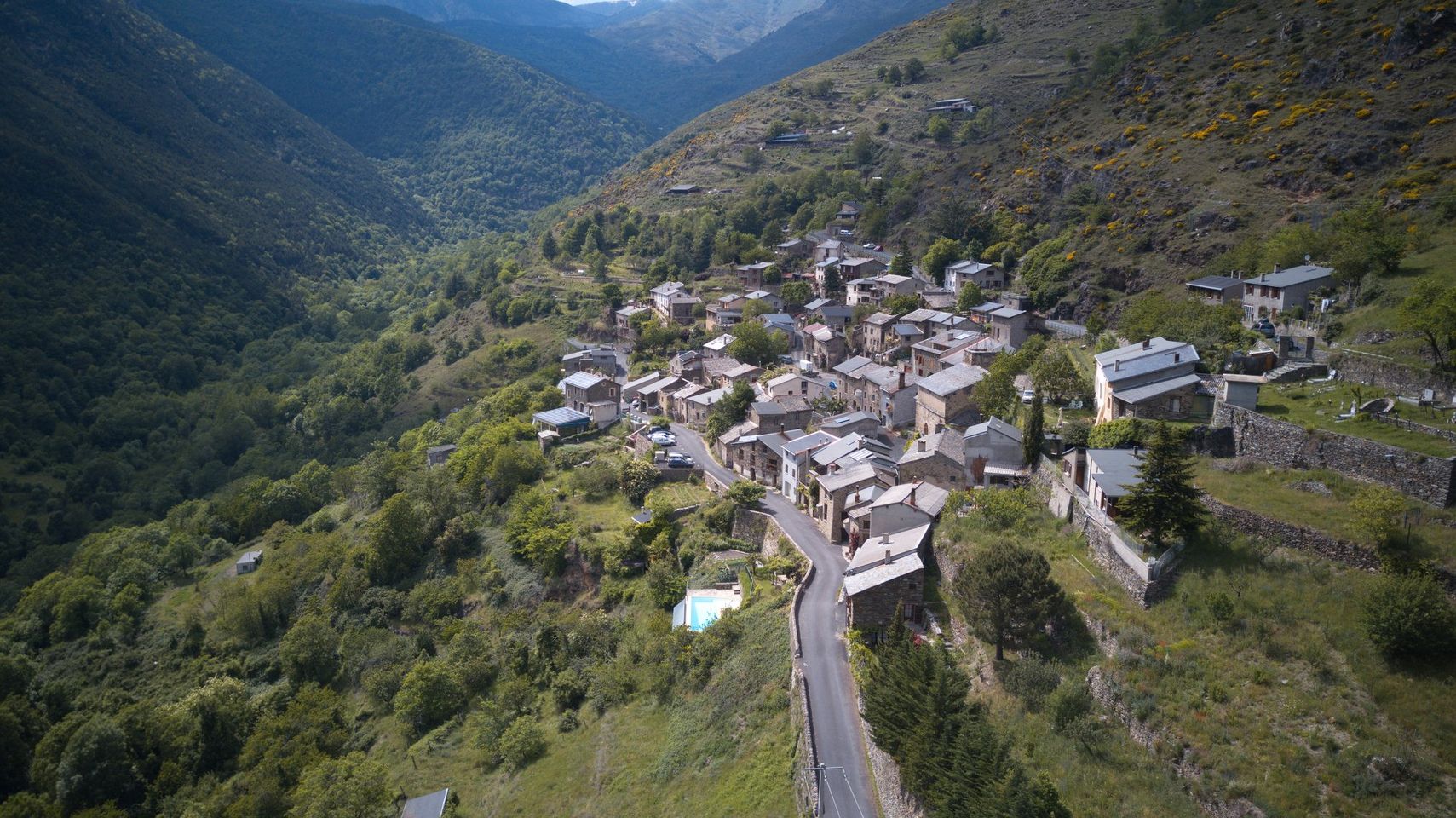 - image: 23