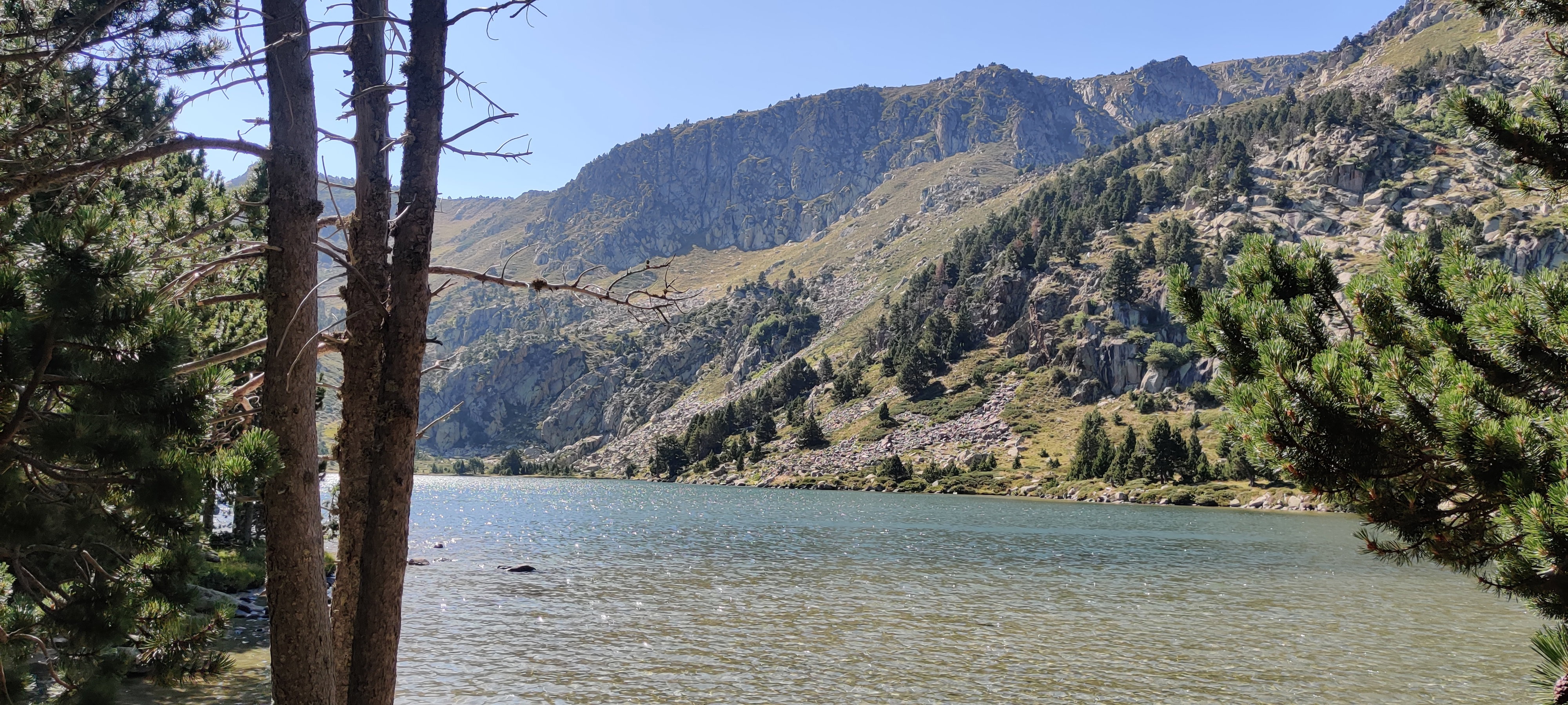 - image: 47