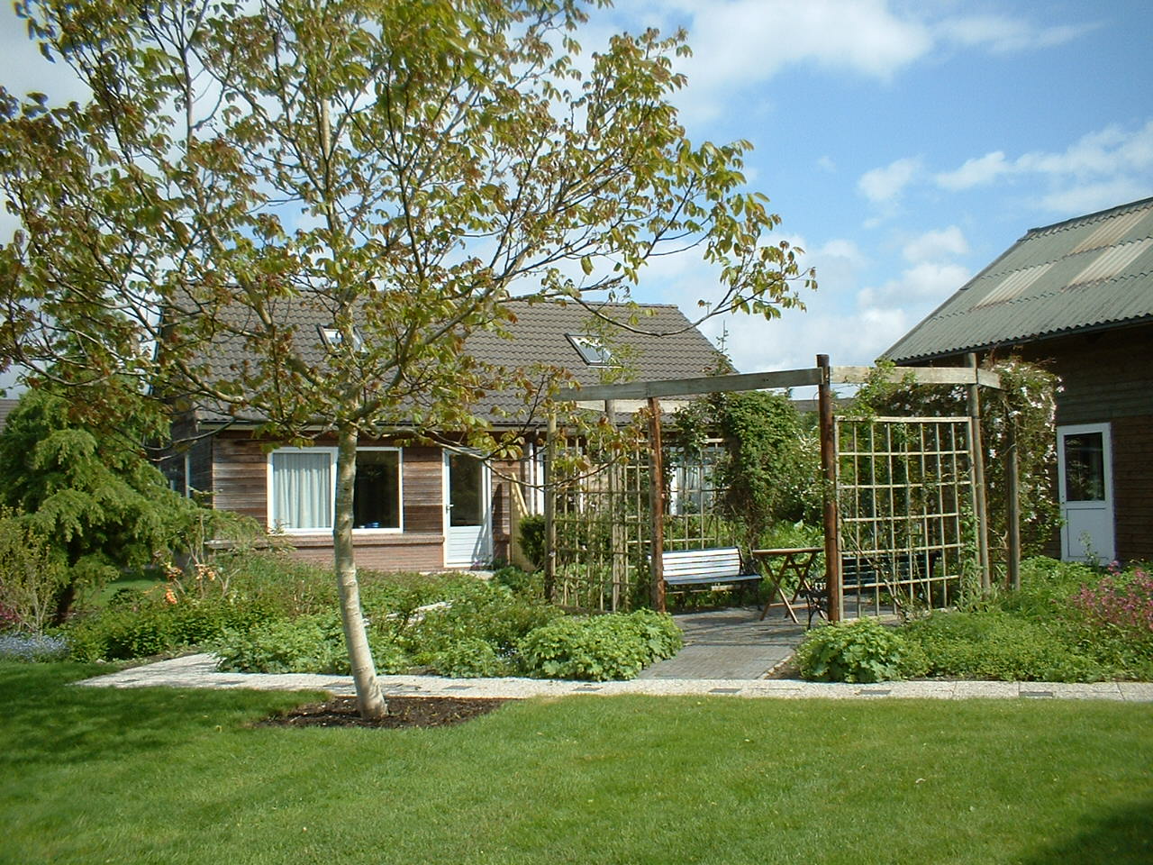 - image: 1