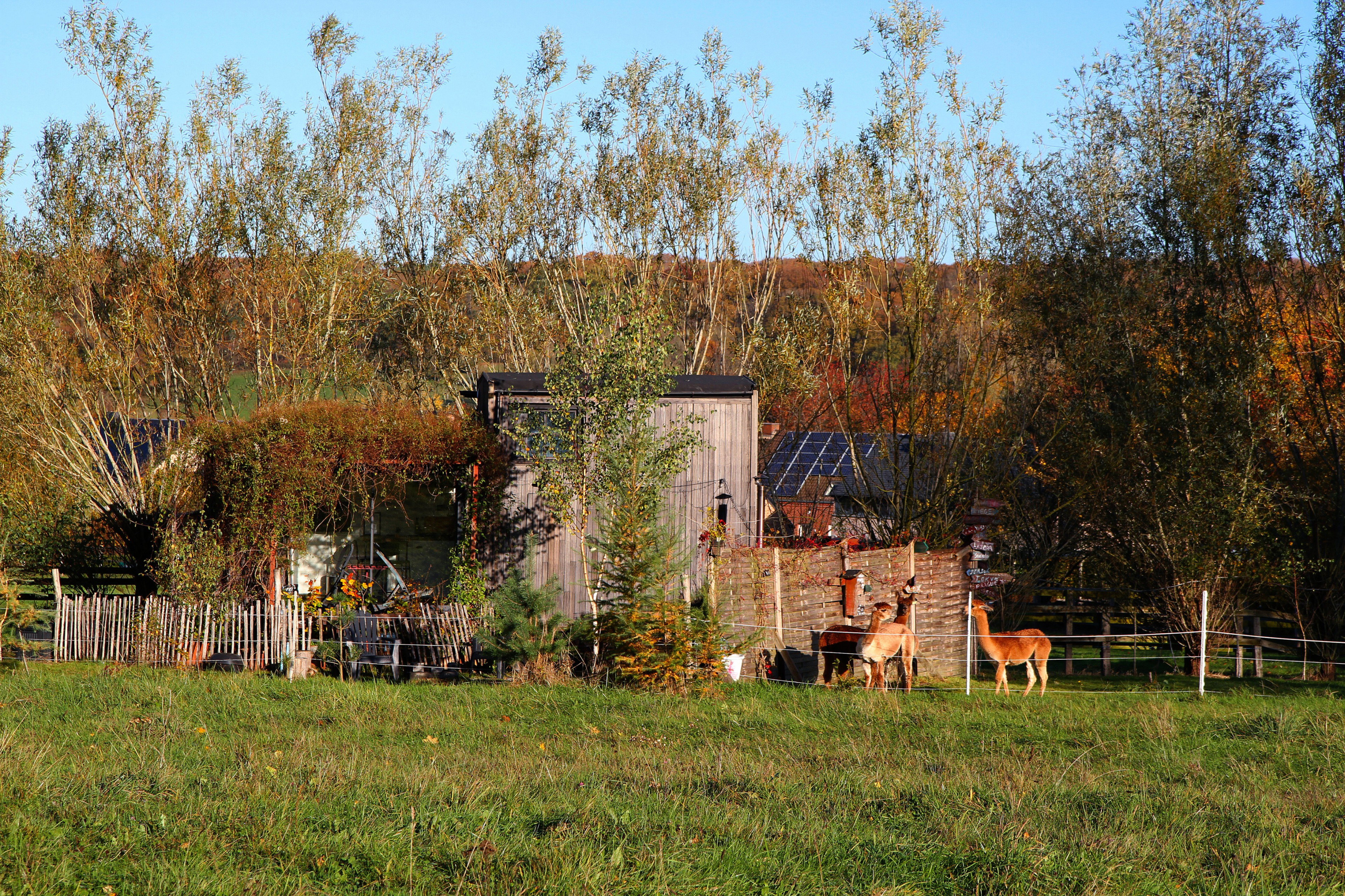 Natuurhuisje in Gesves