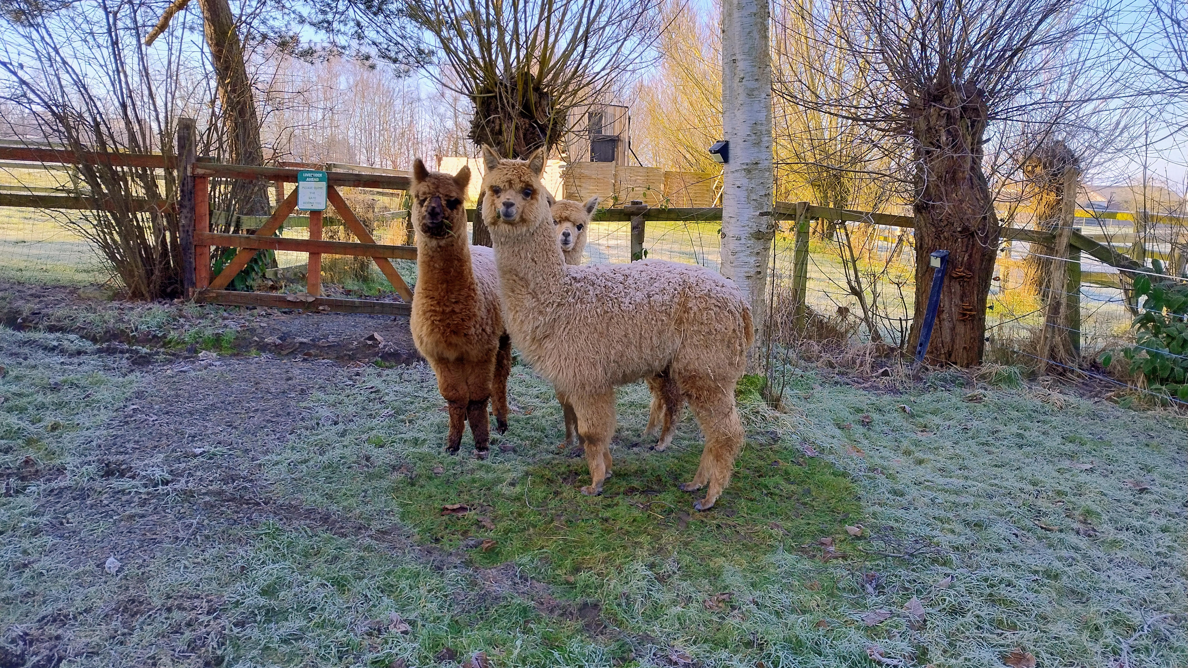 Naturhäuschen in Gesves