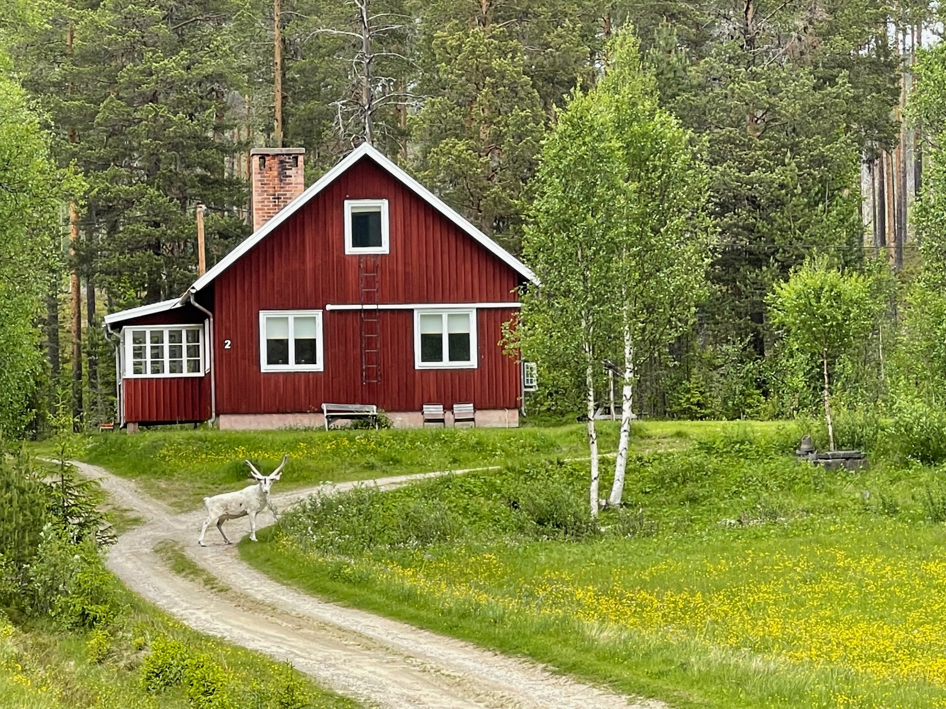 Natuurhuisje in Sveg