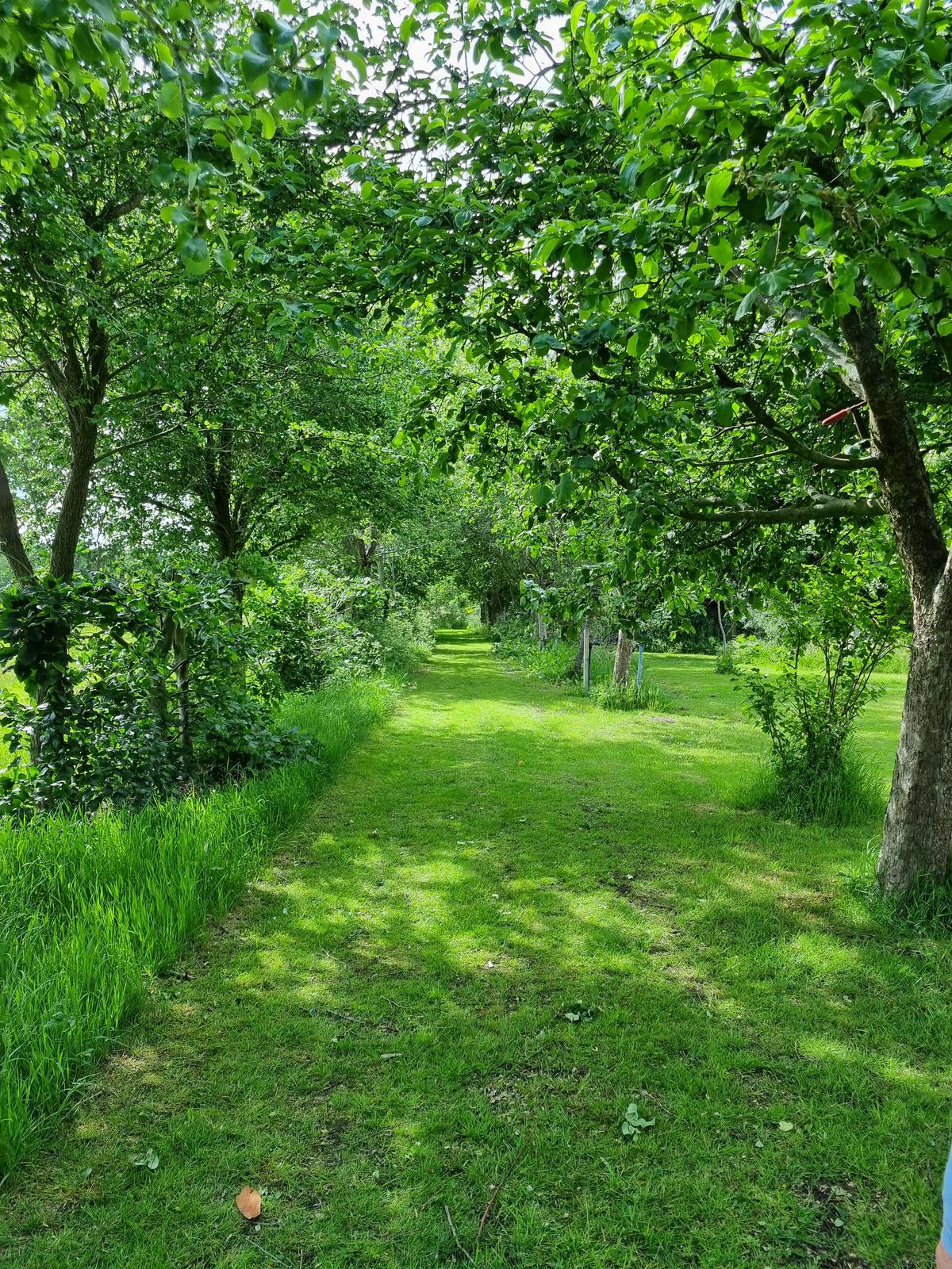 Natuurhuisje in Echten