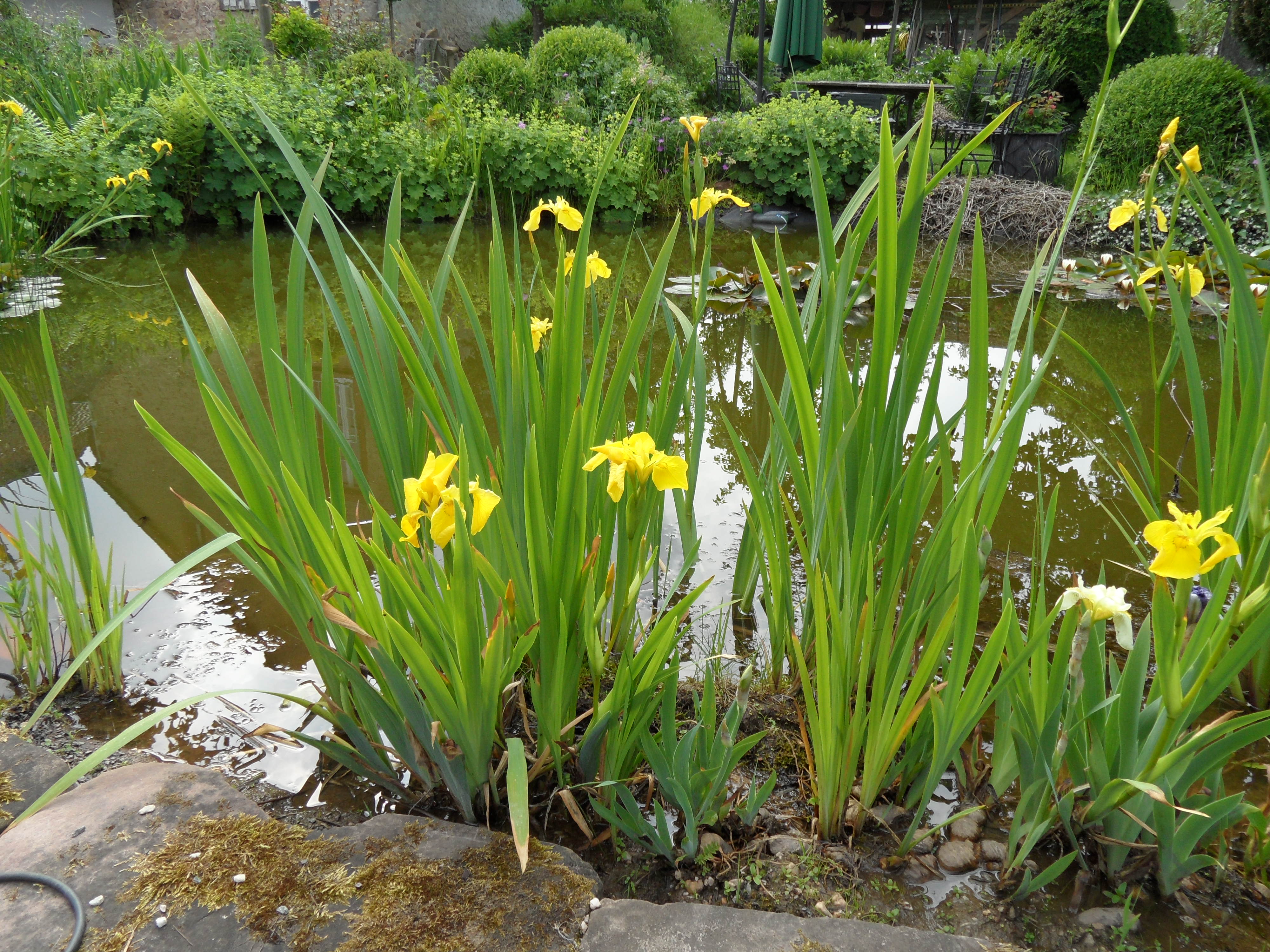 Natuurhuisje in Dodenburg