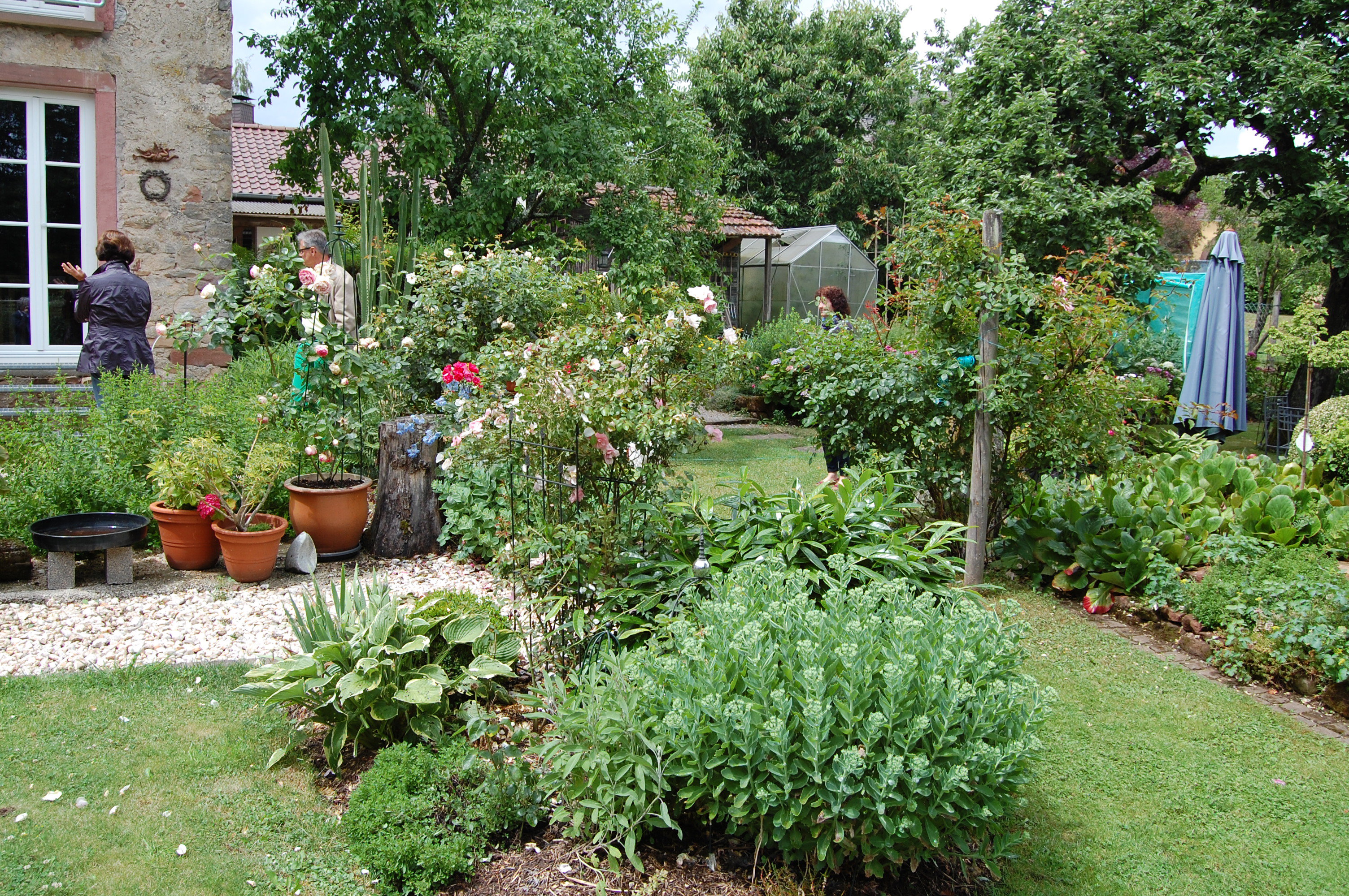 Natuurhuisje in Dodenburg