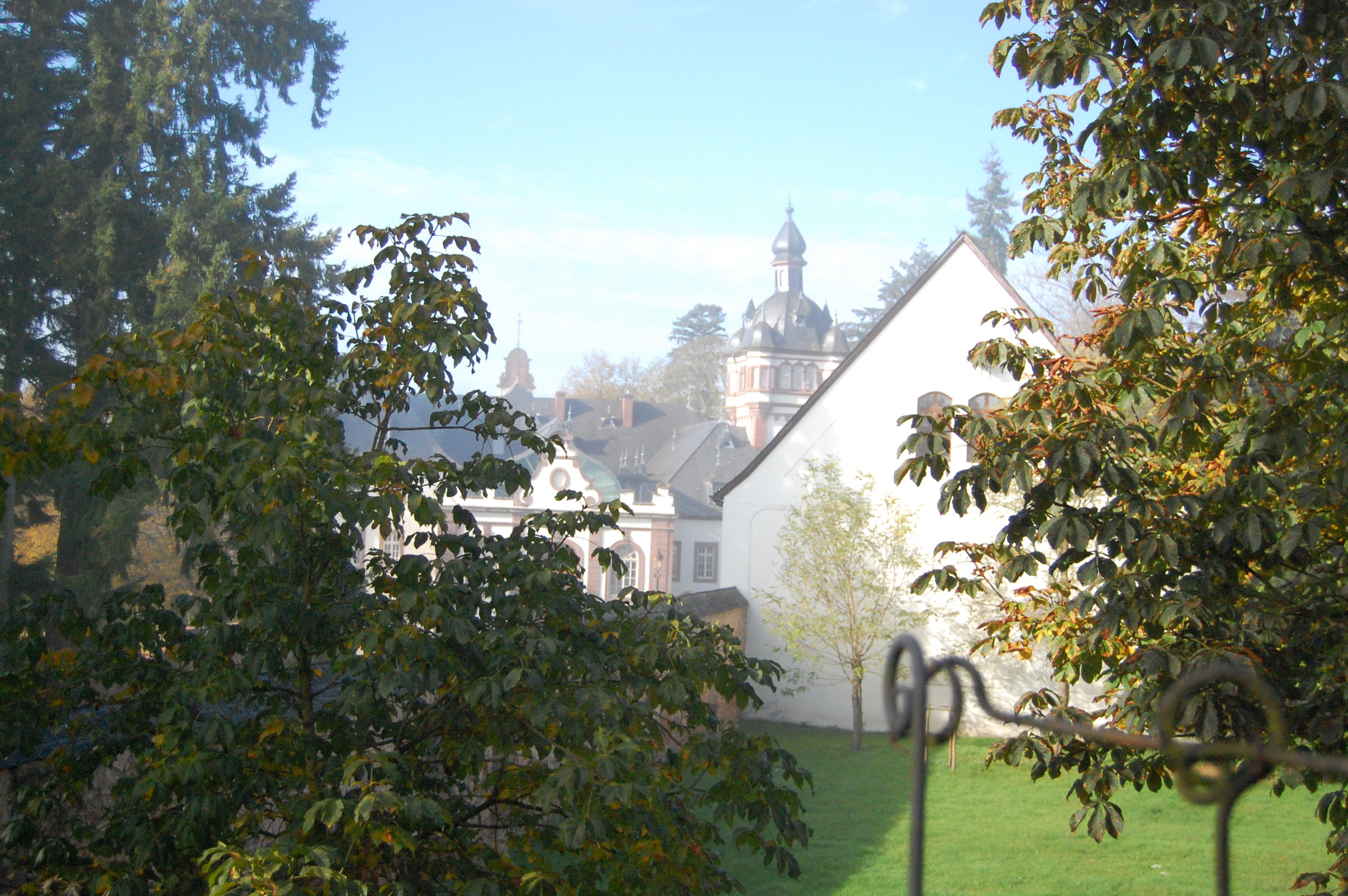 - image: 23