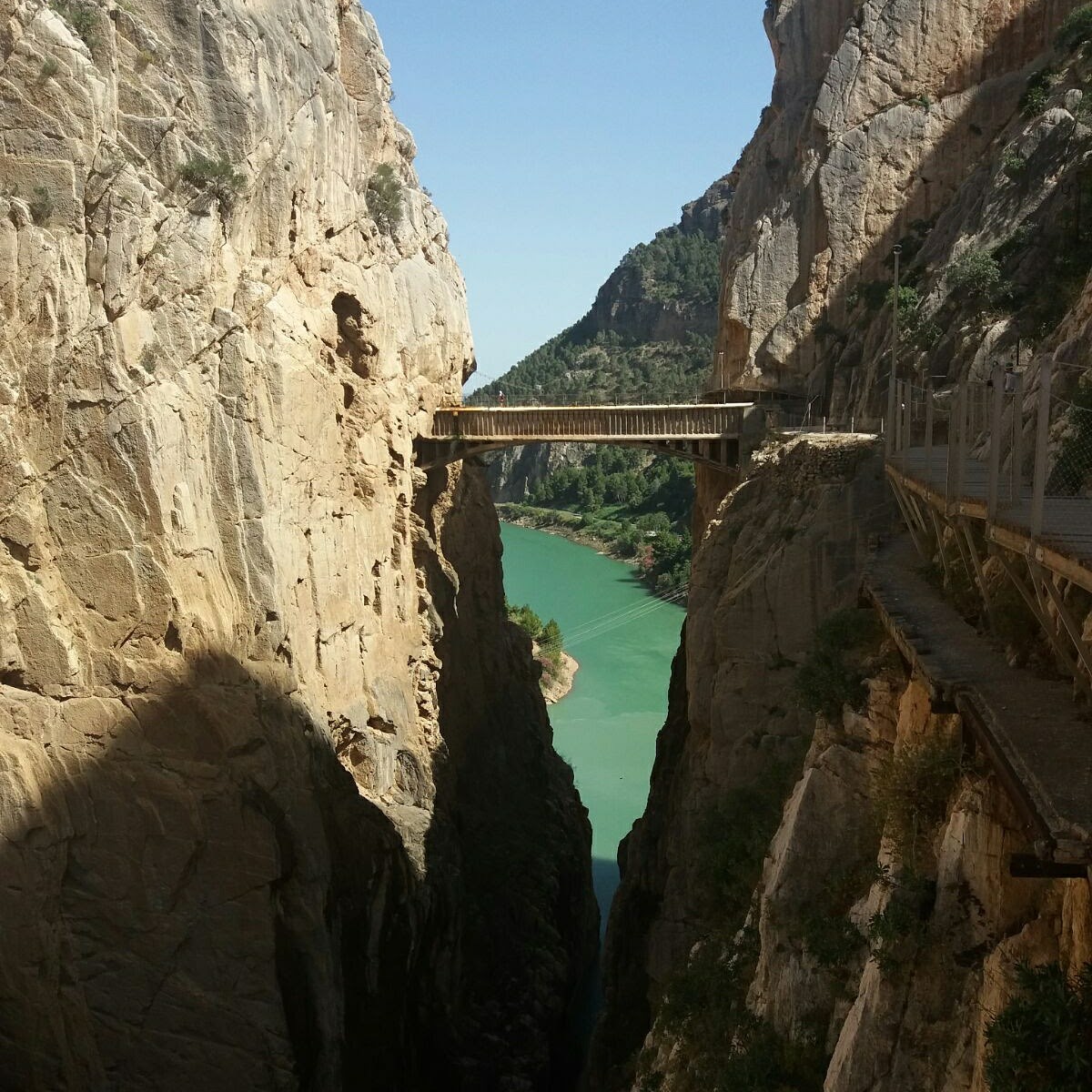 - image: 54