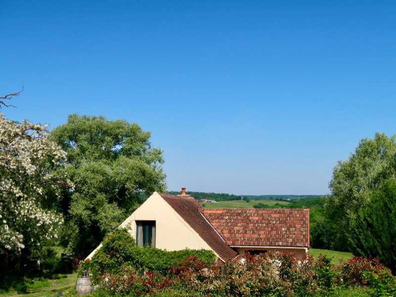 - image: 2