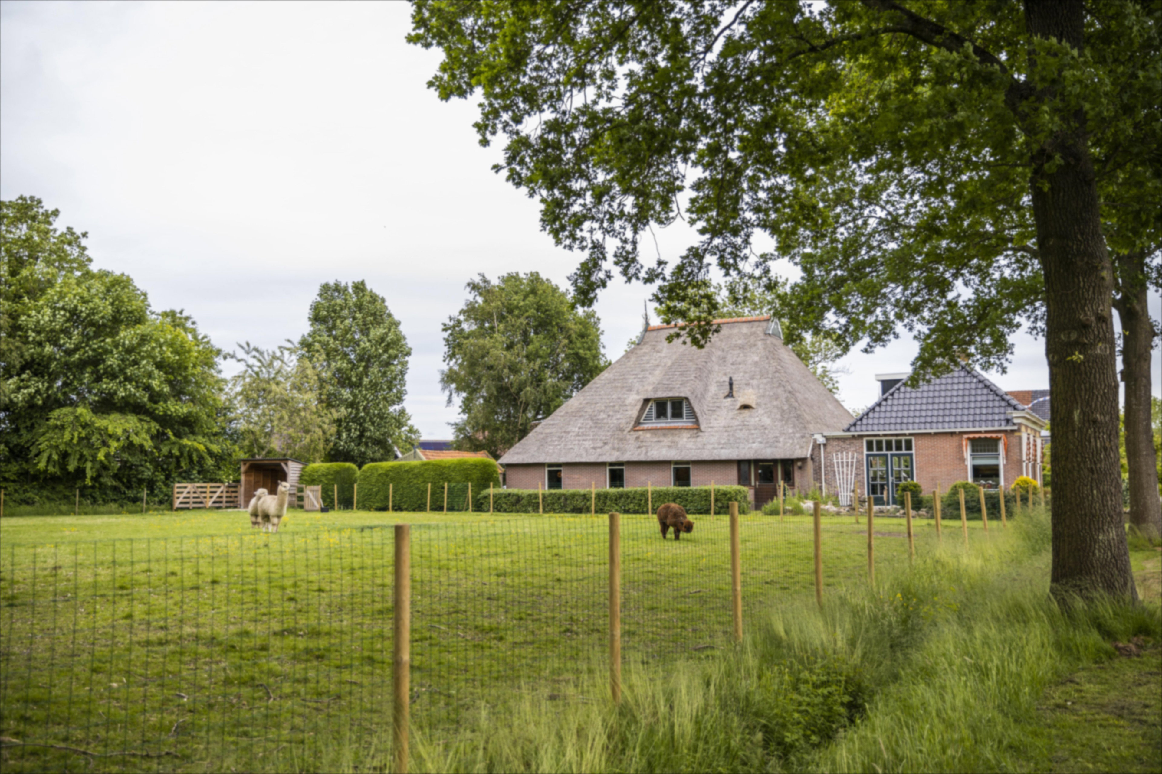 Natuurhuisje in Oudemirdum